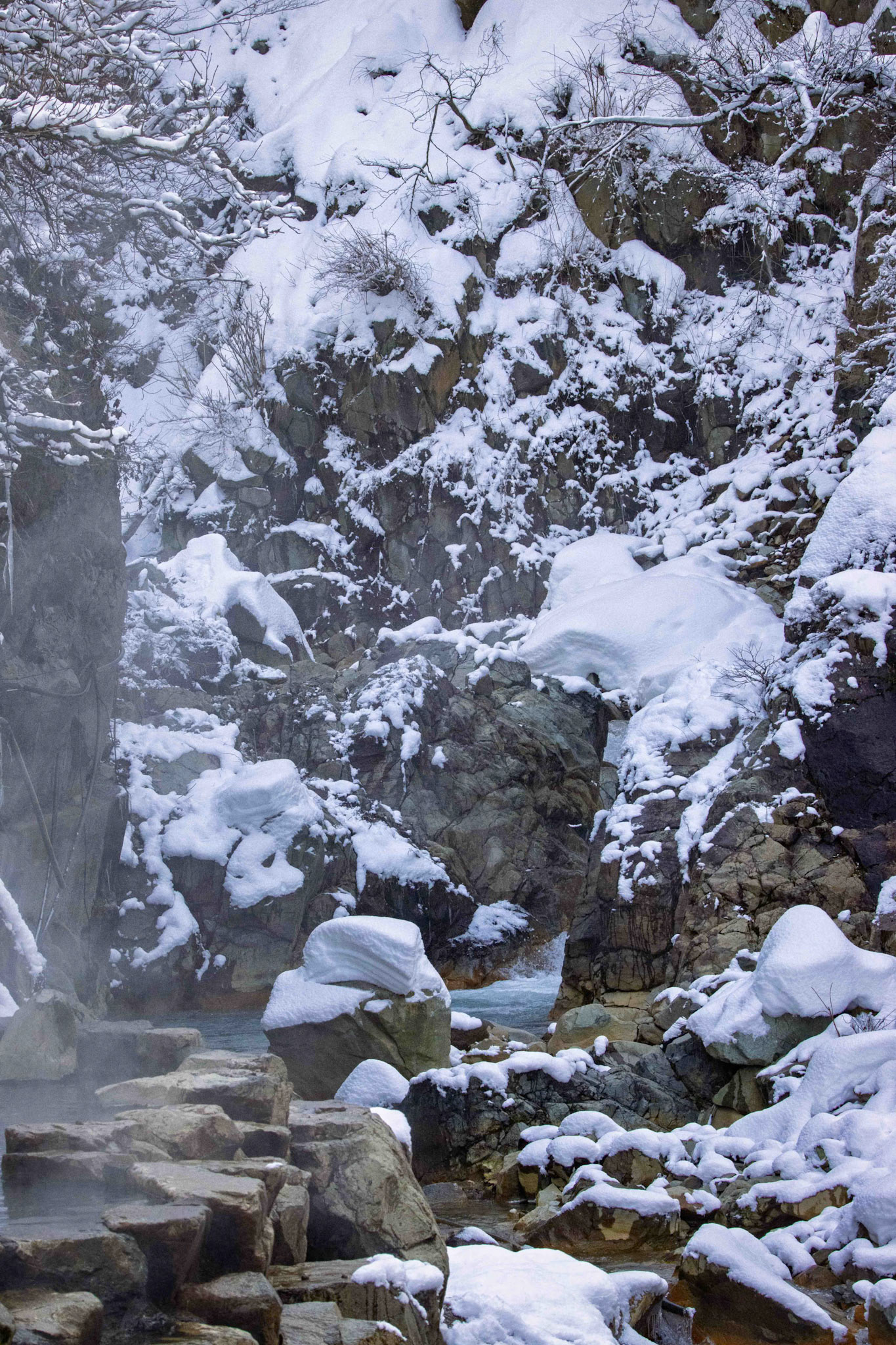 Jigokudani Yaen-Koen, Japan