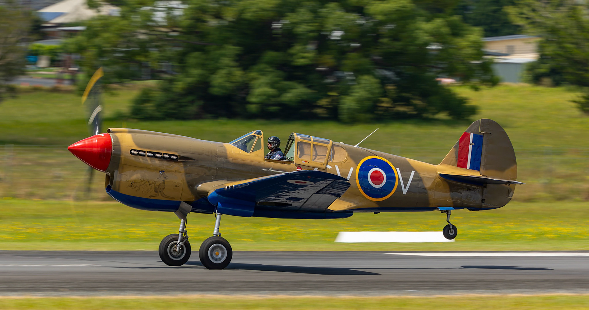 Paul Bennet in the Curtis P-40 Kittyhawk [VH-KTY] at the Barrington Coast Airshow in Taree, New South Wales, Australia. 9th of November, 2024