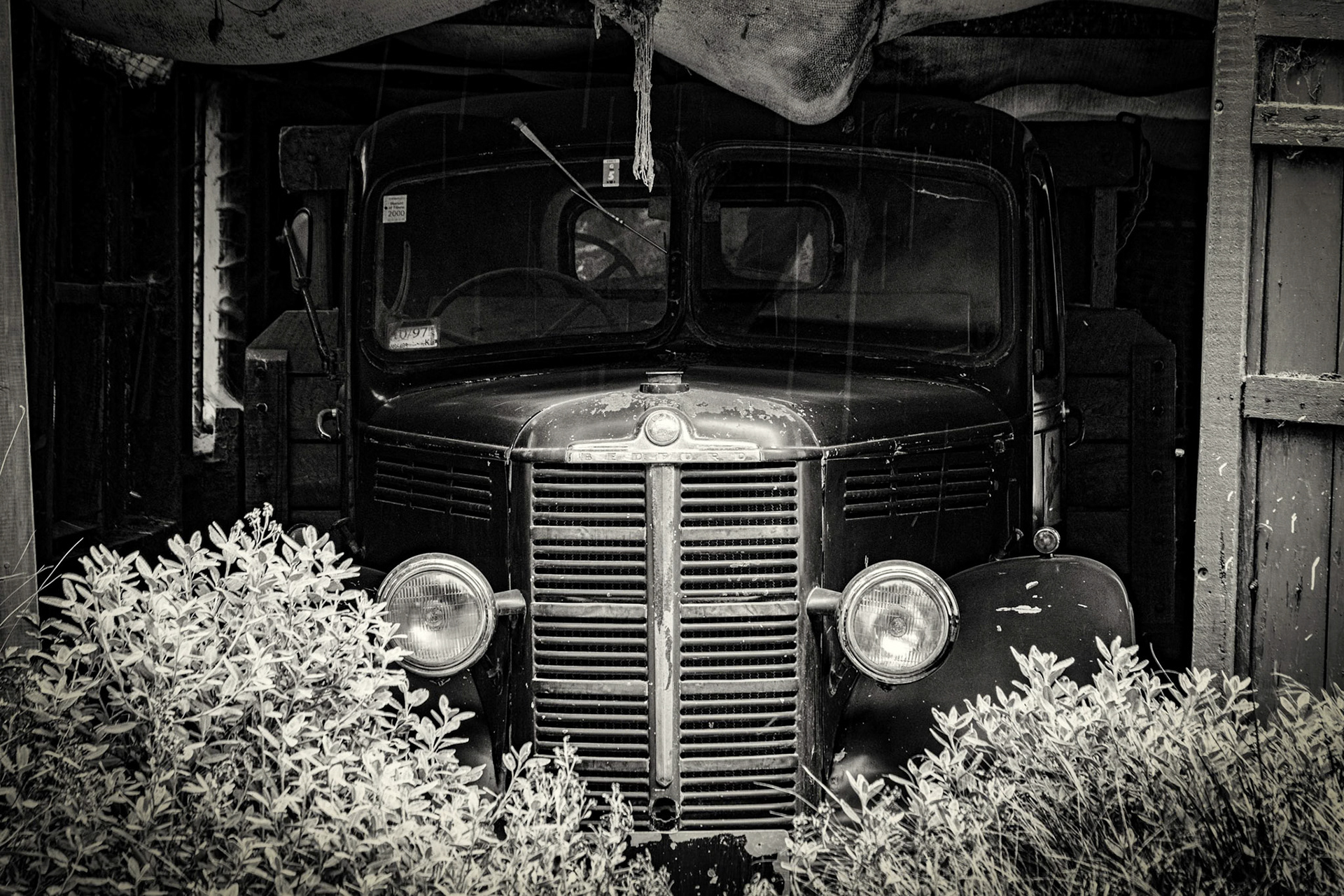 Willowbank Wildlife Park, Christchurch, New Zealand