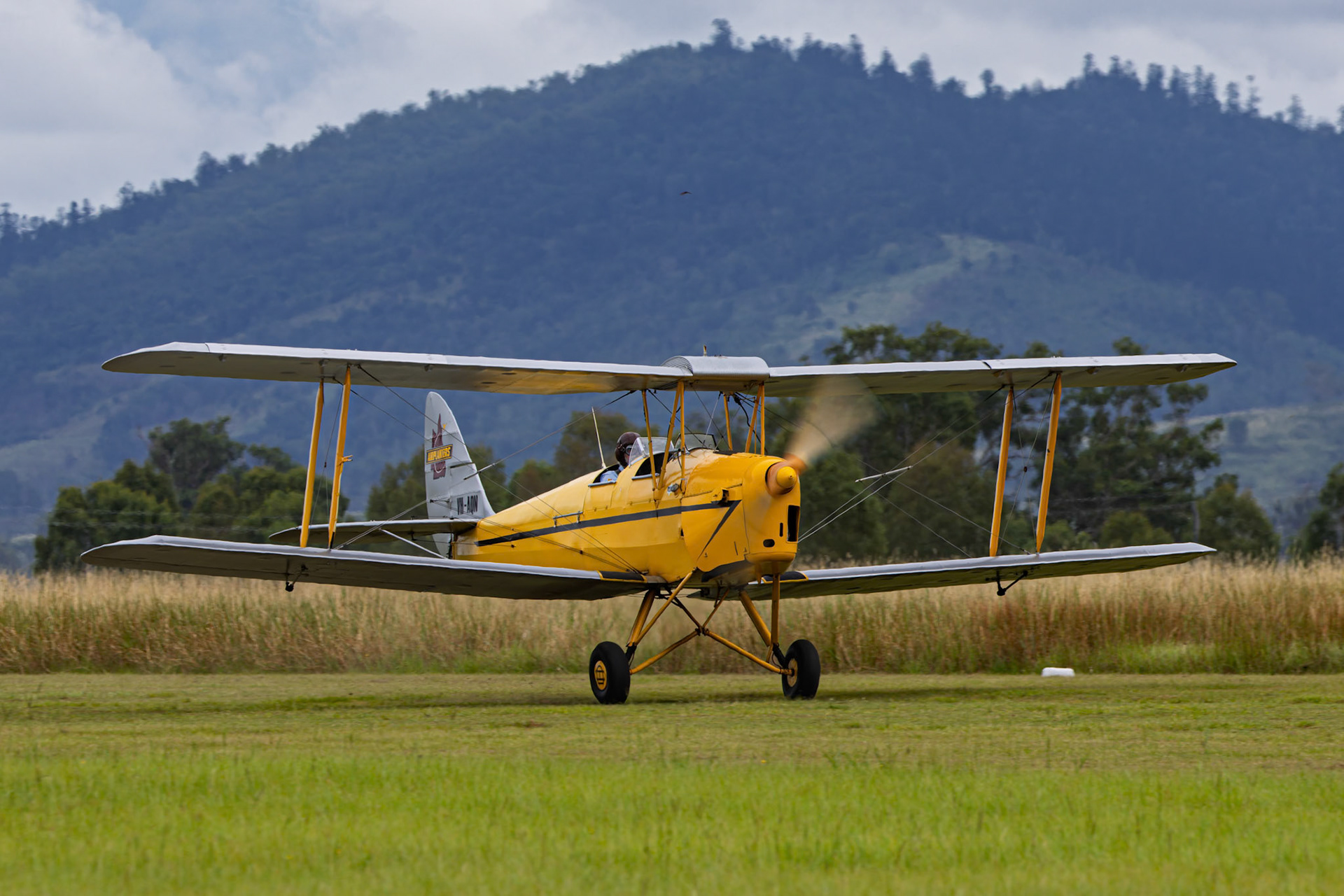 De Havilland DH-82 Tiger Moth [VH-AQN] at the breakfast flyin at Watts Bridge Memorial Airfield in Cressbrook, Australia