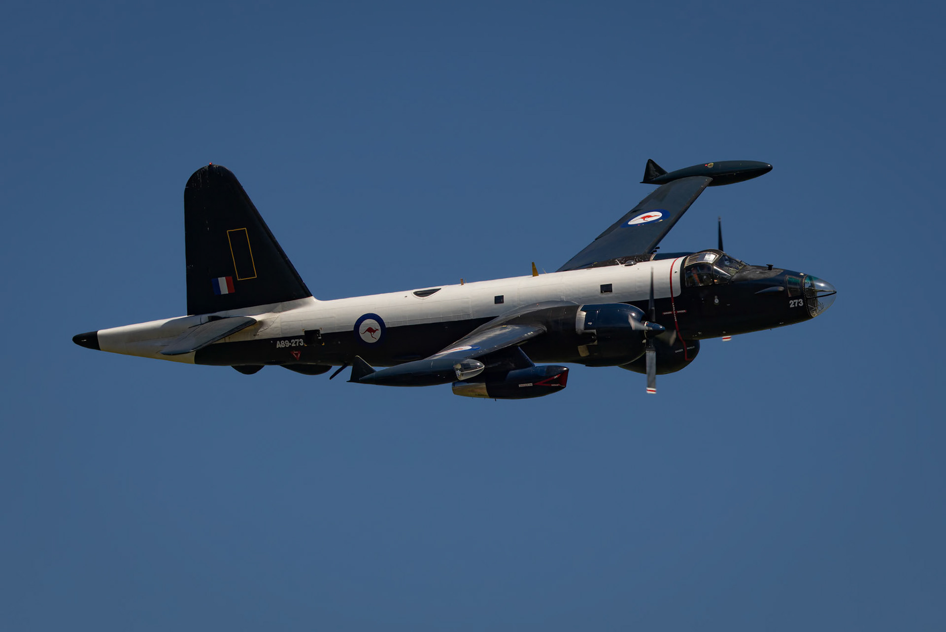 Lockheed SP-2H Neptune from the Historical Aircraft Restoration Society on display at the Shellharbour Airport, during the Airshows Downunder Shellharbour, New South Wales, Australia.