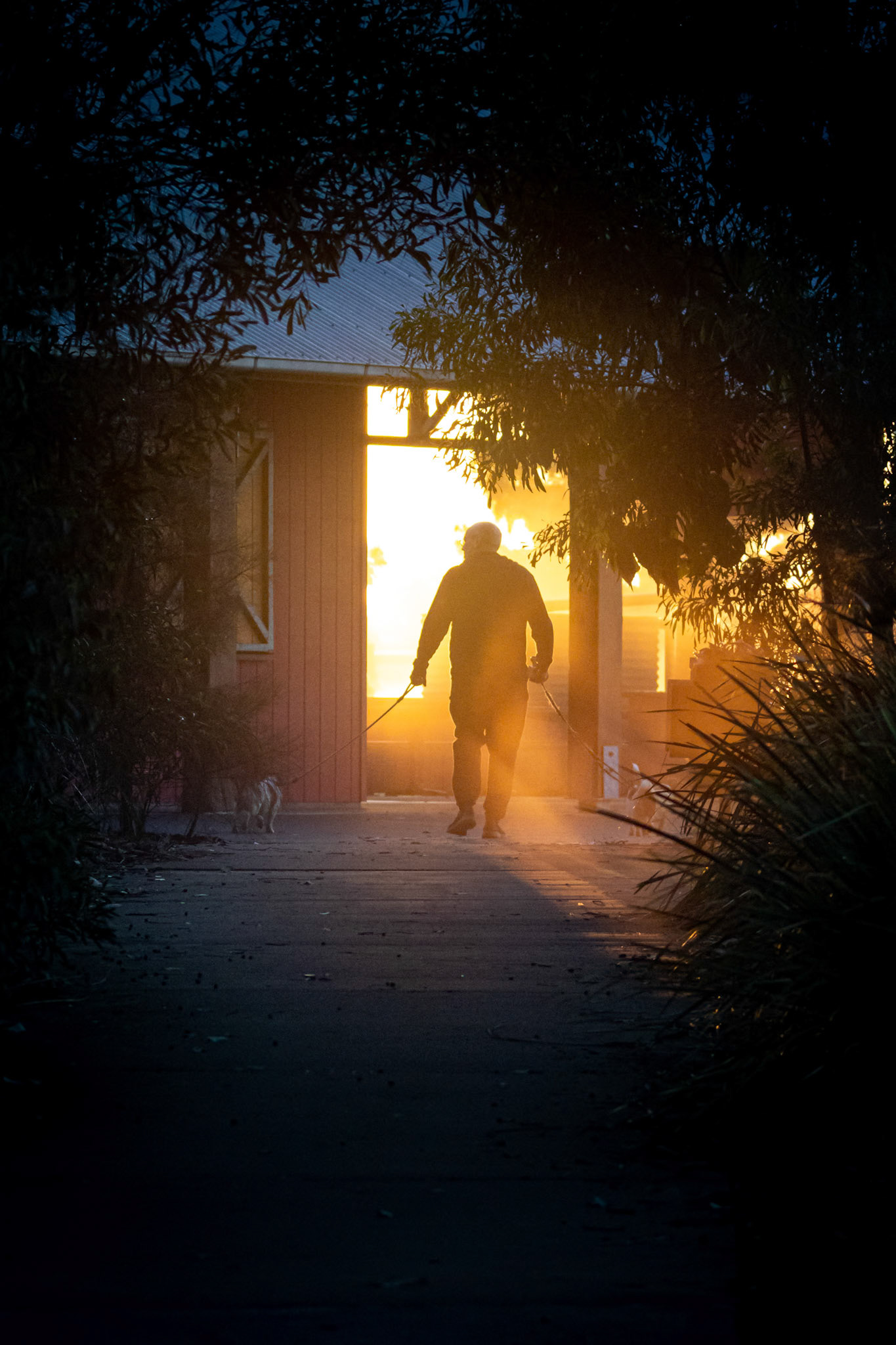 Early morning walking of the dogs at Oxley Creek Common in Rocklea, Queensland