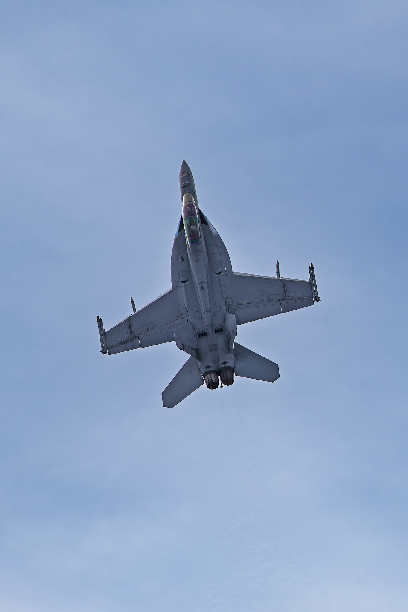 Royal Australian Air Force Boeing FA-18F Super Hornet [A44-205] on display at the Richmond Airshow in New South Wales, Australia