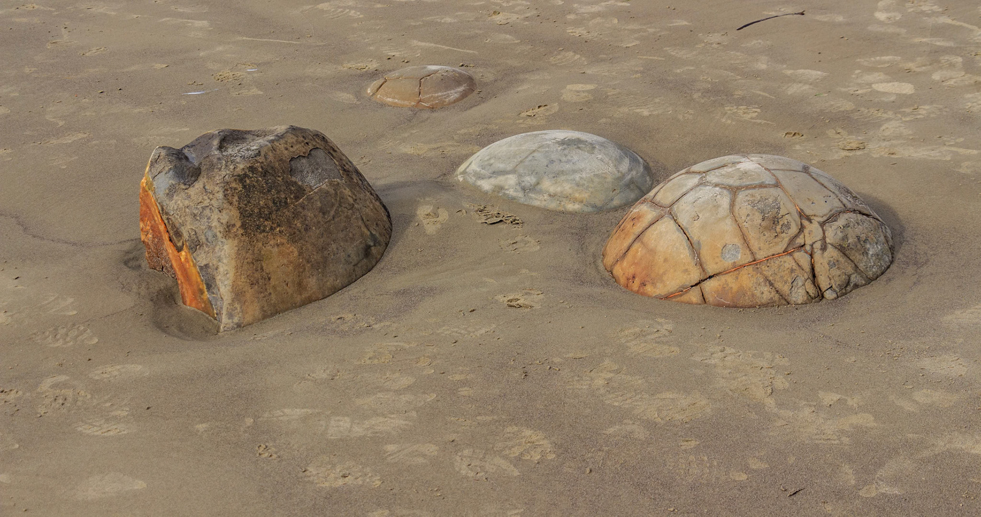 Moeraki Boulders Beach, New Zealand