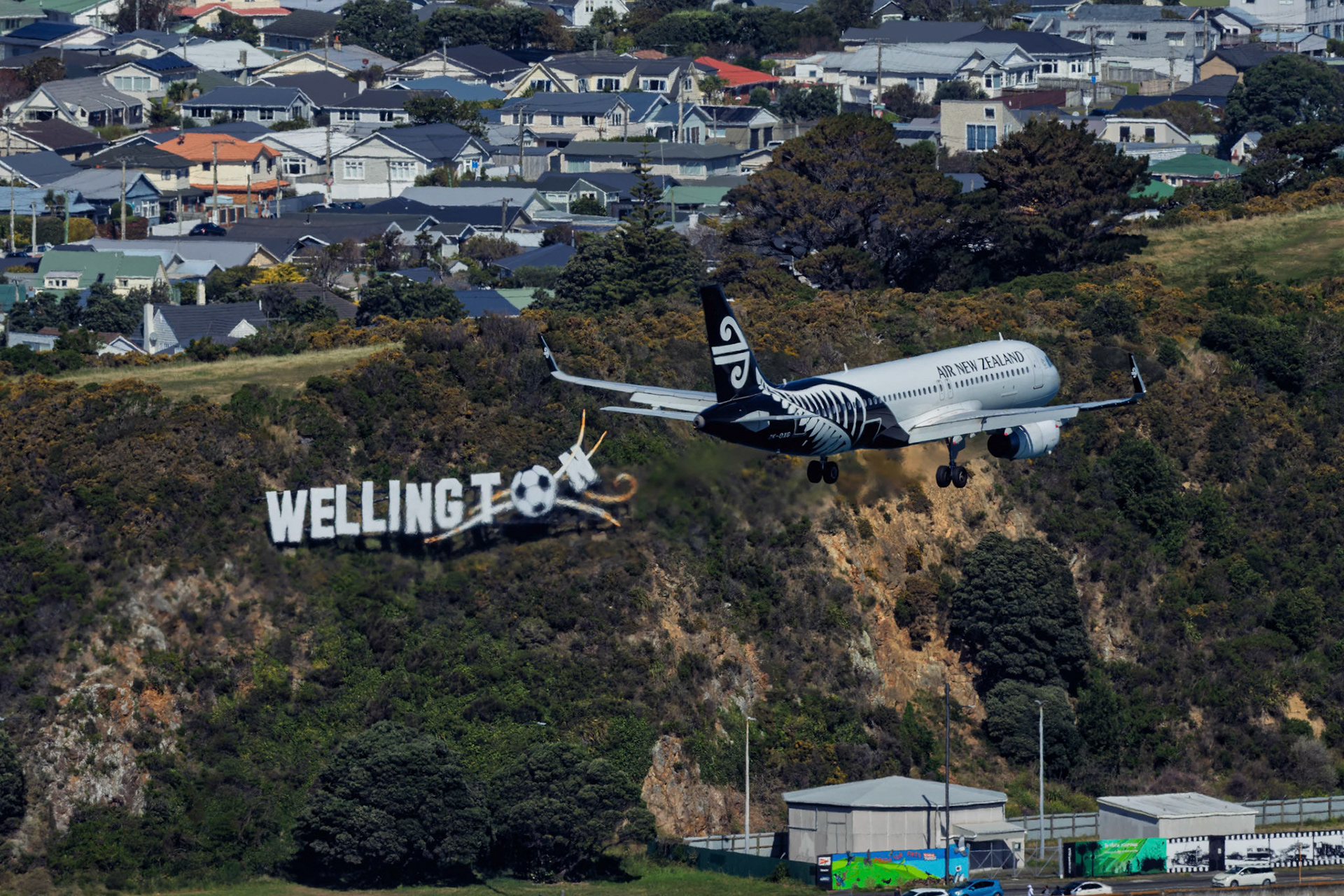 Air New Zealand Airbus A320-232 [ZK-OXG] Arriving from Auckland, from Mount Victoria Lookout, New Zealand