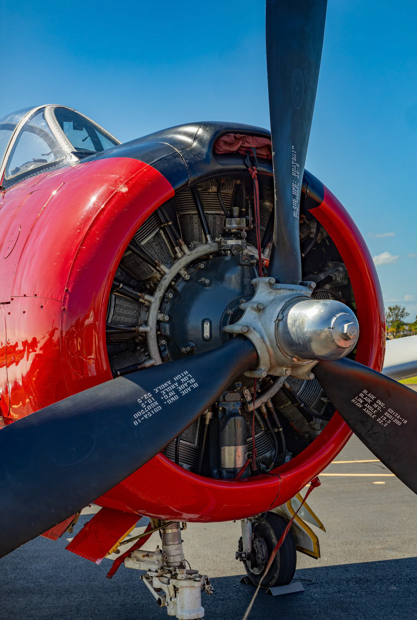 Glenn Collins in the North American T28 Trojan [VH-T28] at the Barrington Coast Airshow in Taree, New South Wales, Australia. 9th of November, 2024