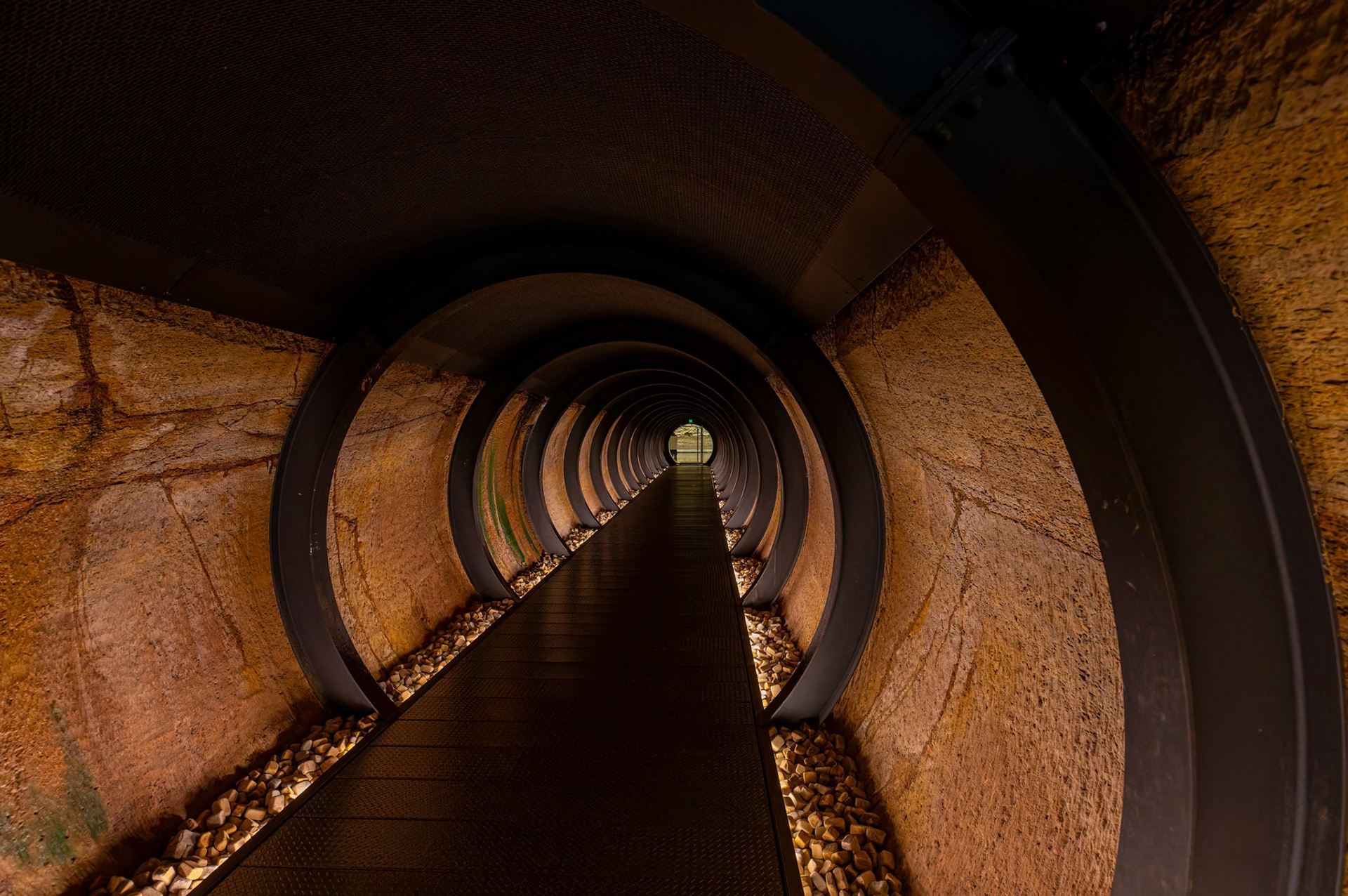 Requiem for Vermin by Christopher Townend (2019) on display inside the Museum of Old and New Art (MONA) in Hobart, Tasmania