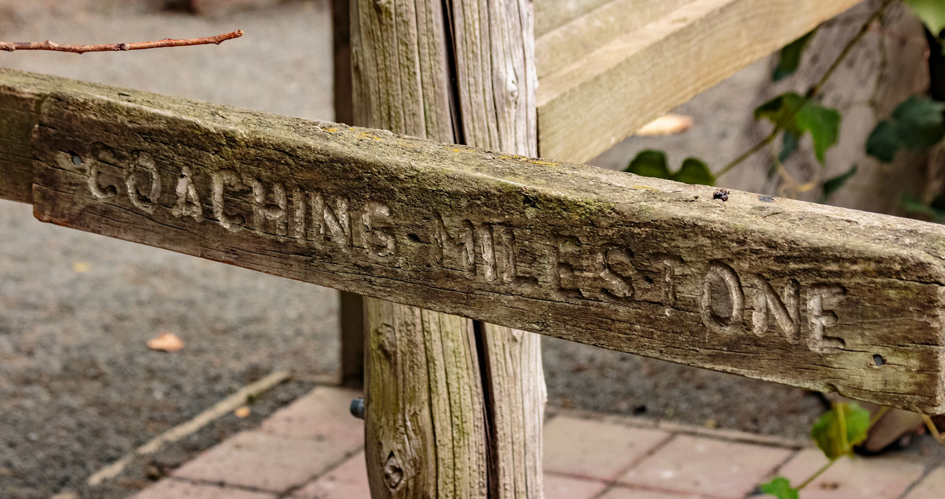 Willowbank Wildlife Park, Christchurch, New Zealand