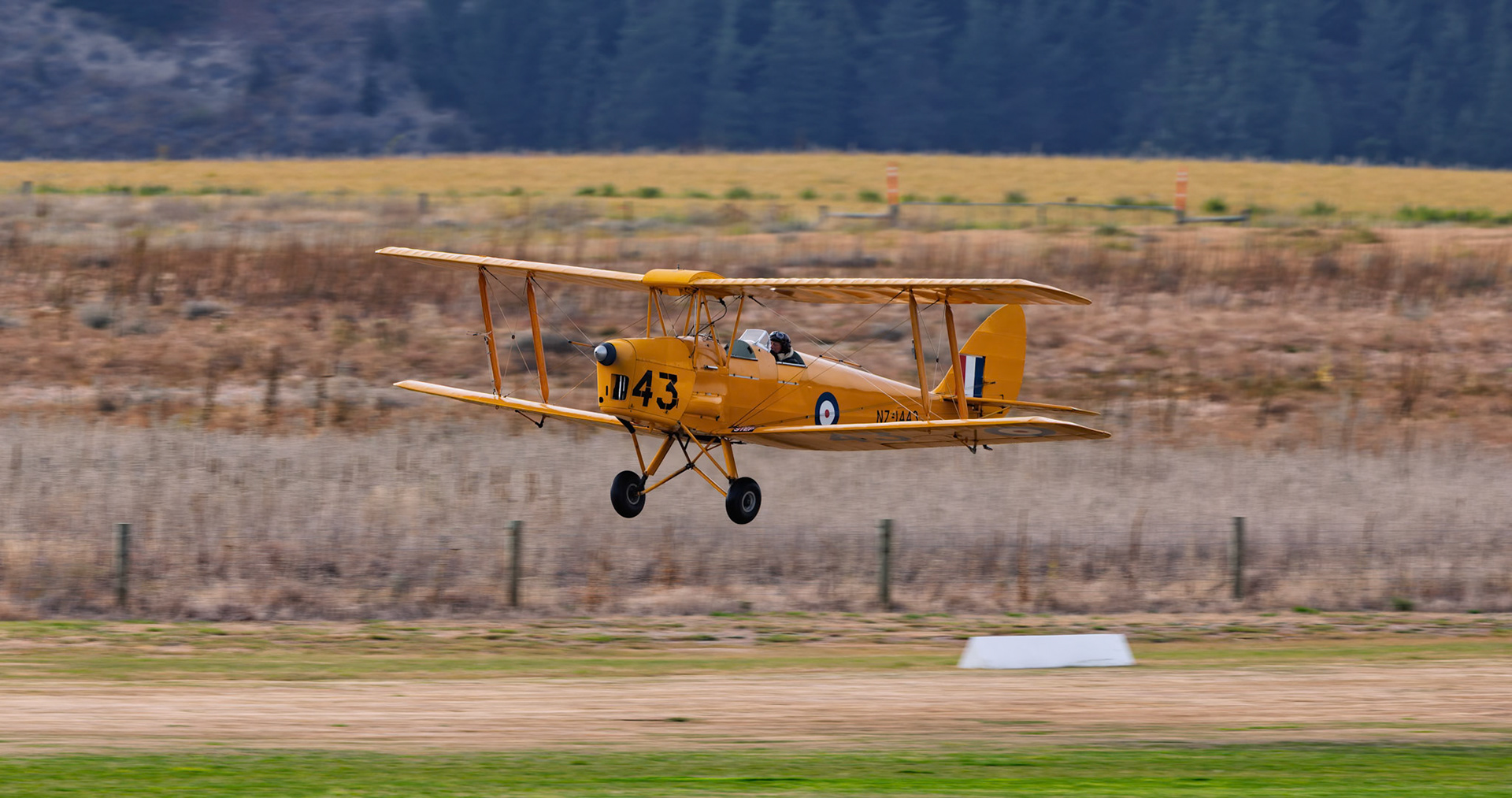 De Havilland DH-82 Tiger Moth (43) [ZK-BRL] on display at Warbirds over Wanaka, New Zealand