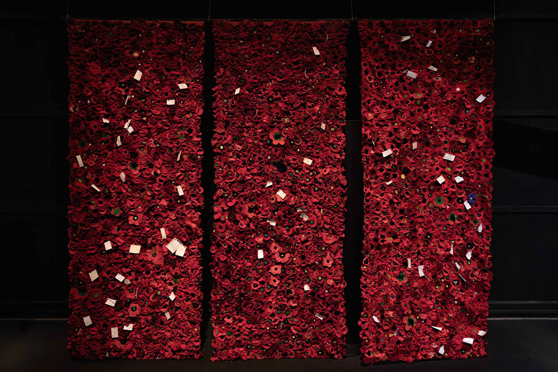 5000 Poppies at Omaka Aviation Heritage Centre in Blenheim, New Zealand
