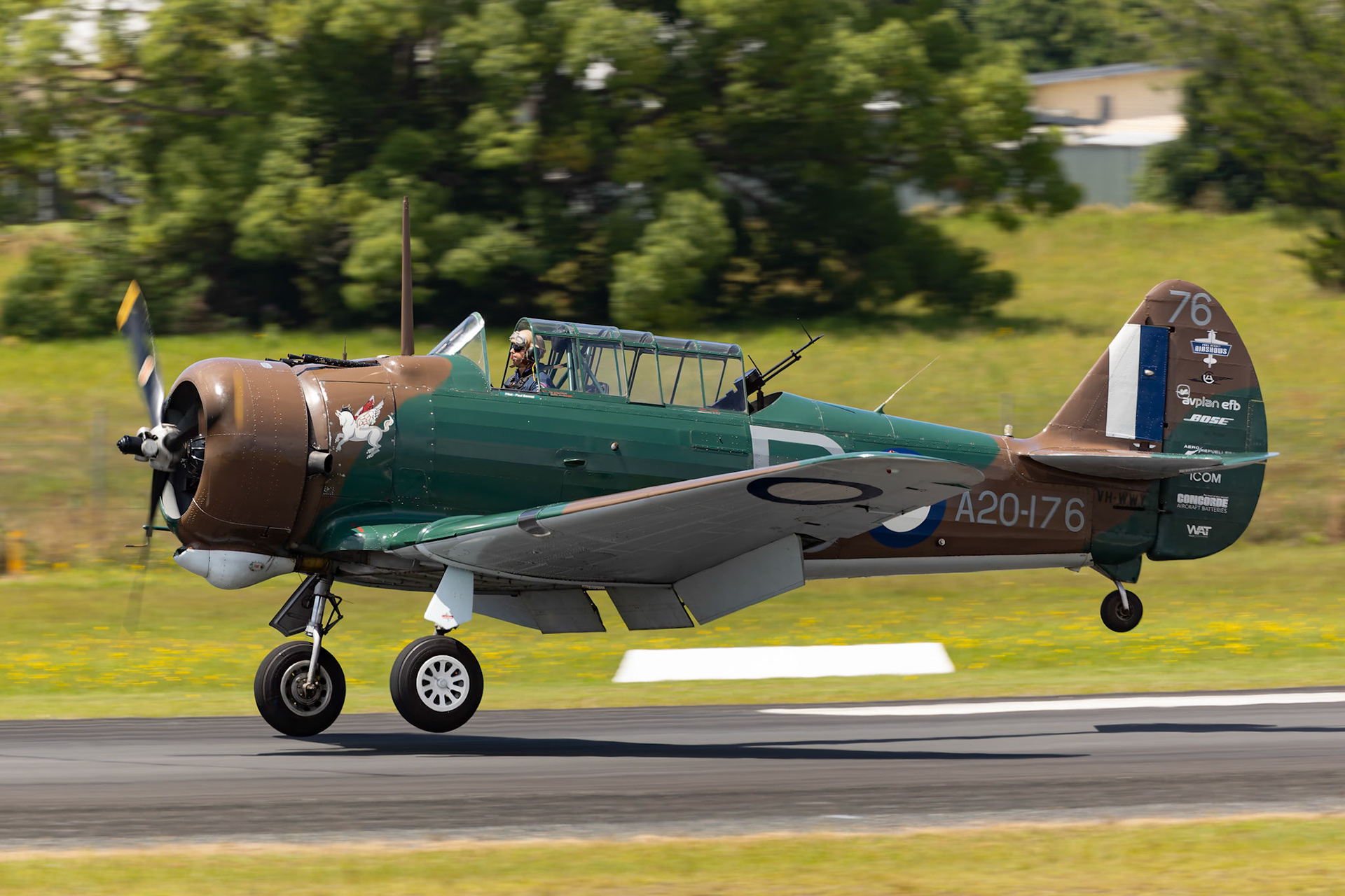 Glenn Collins in the CAC Wirraway [VH-WWY] at the Barrington Coast Airshow in Taree, New South Wales, Australia. 9th of November, 2024