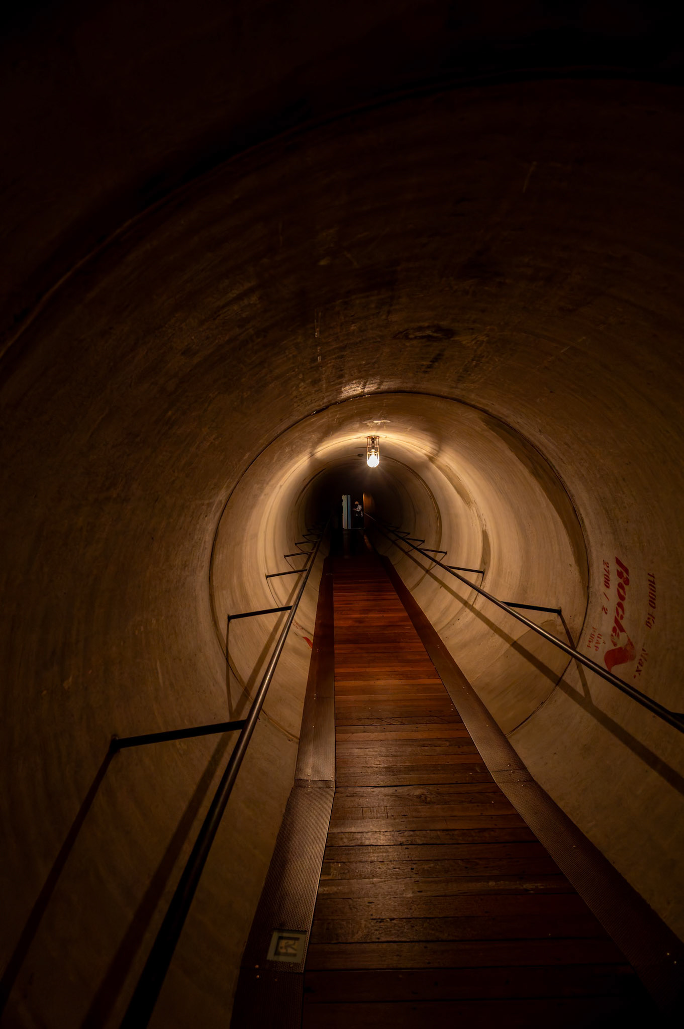 Requiem for Vermin by Christopher Townend (2019) on display inside the Museum of Old and New Art (MONA) in Hobart, Tasmania