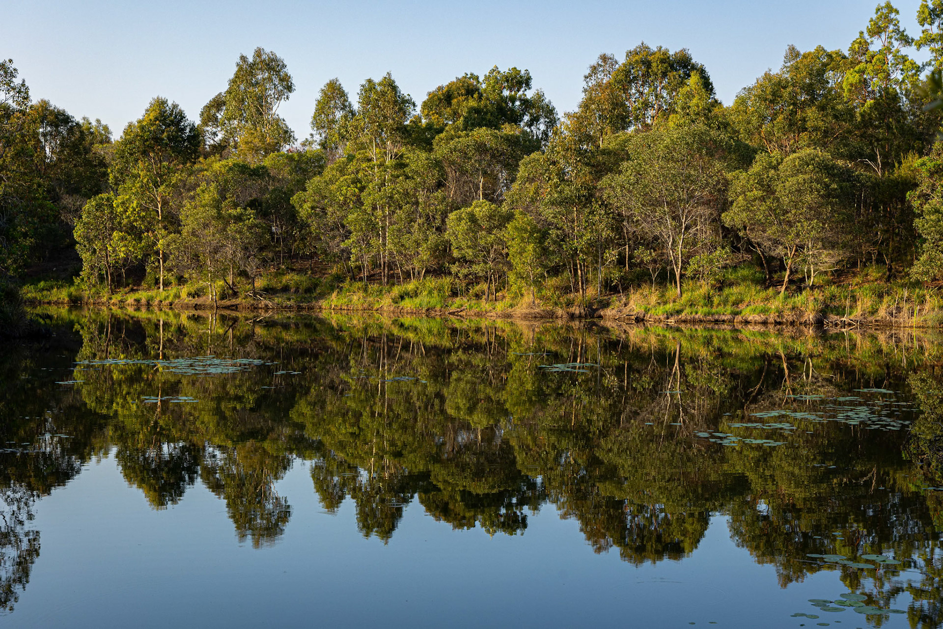 Morning sun over Berrinba Reserve in Queensland, Australia