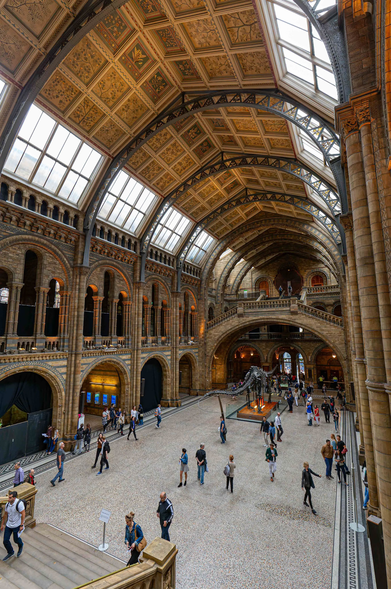 Inside the Natural History Museum in London, England
