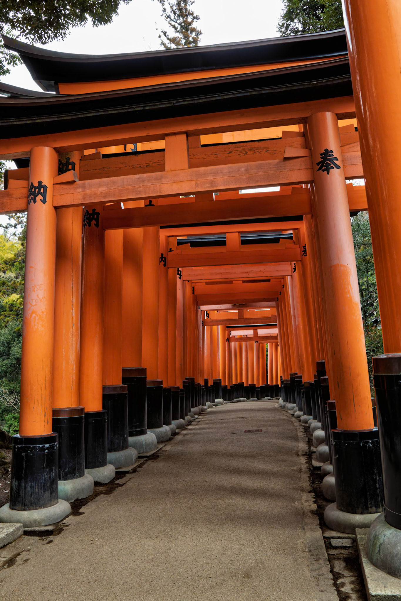 Senbon Torii (Thousand Torii Gates) at Fushimi Inari Taisha in Fushimi Ward, Kyoto,  Japan