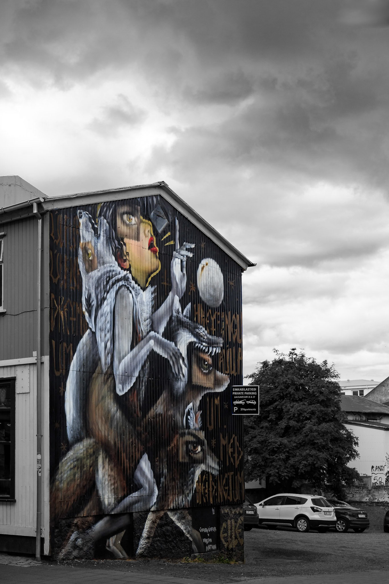 Street Art in Reykjavik, Iceland