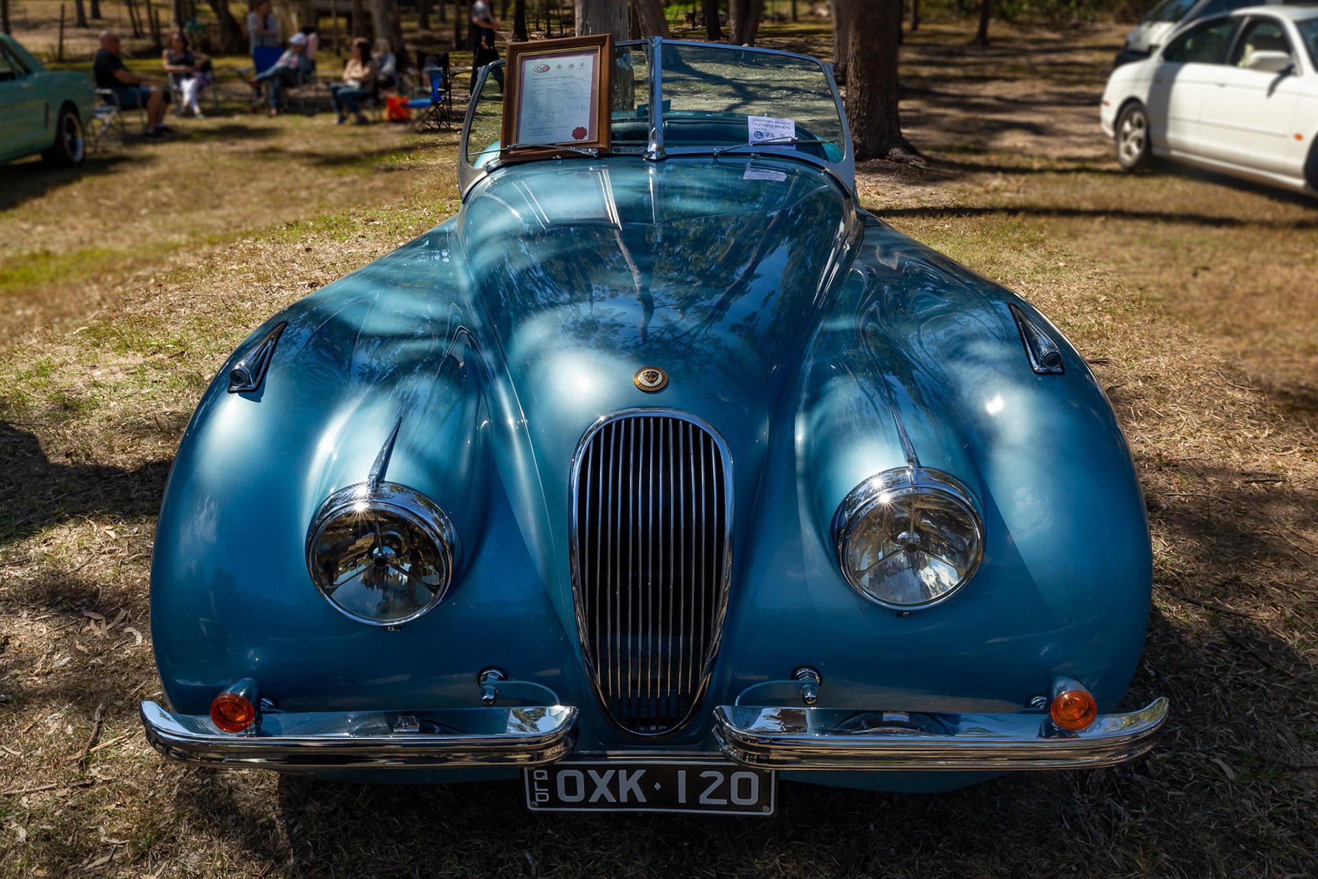 1951 Jaguar XK120 at the Forestdale Carshow in Forestdale, Australia. 2018