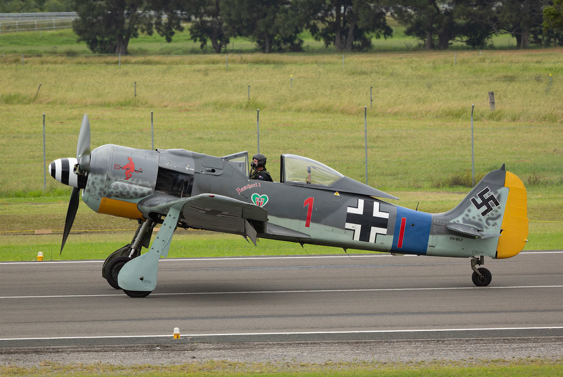 Focke-Wulf FW190 A8 being chased at the Shellharbour Airport, during the Airshows Downunder Shellharbour, New South Wales, Australia.