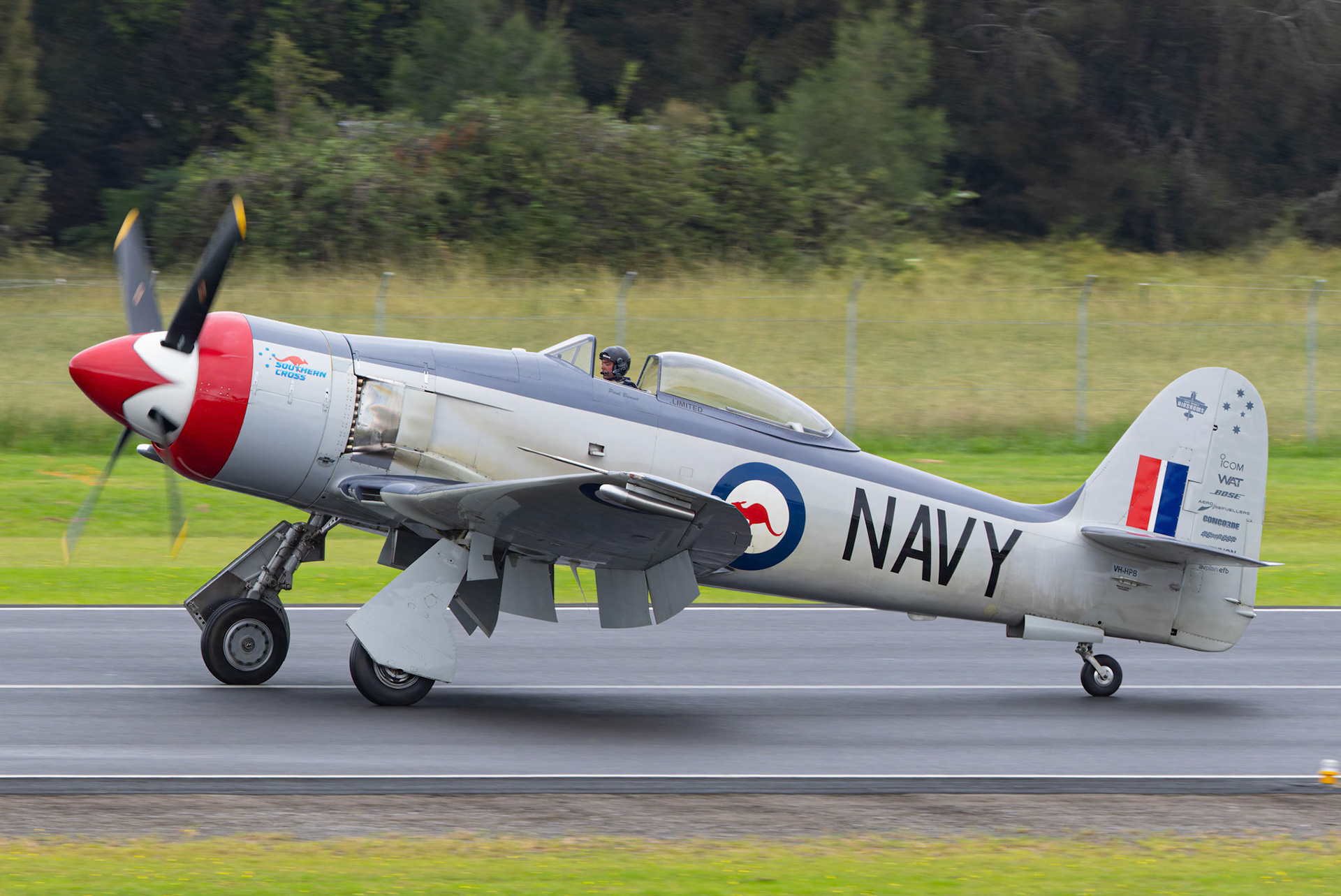 Hawker Sea Fury from Paul Bennet Airshows on display at the Shellharbour Airport, during the Airshows Downunder Shellharbour, New South Wales, Australia.