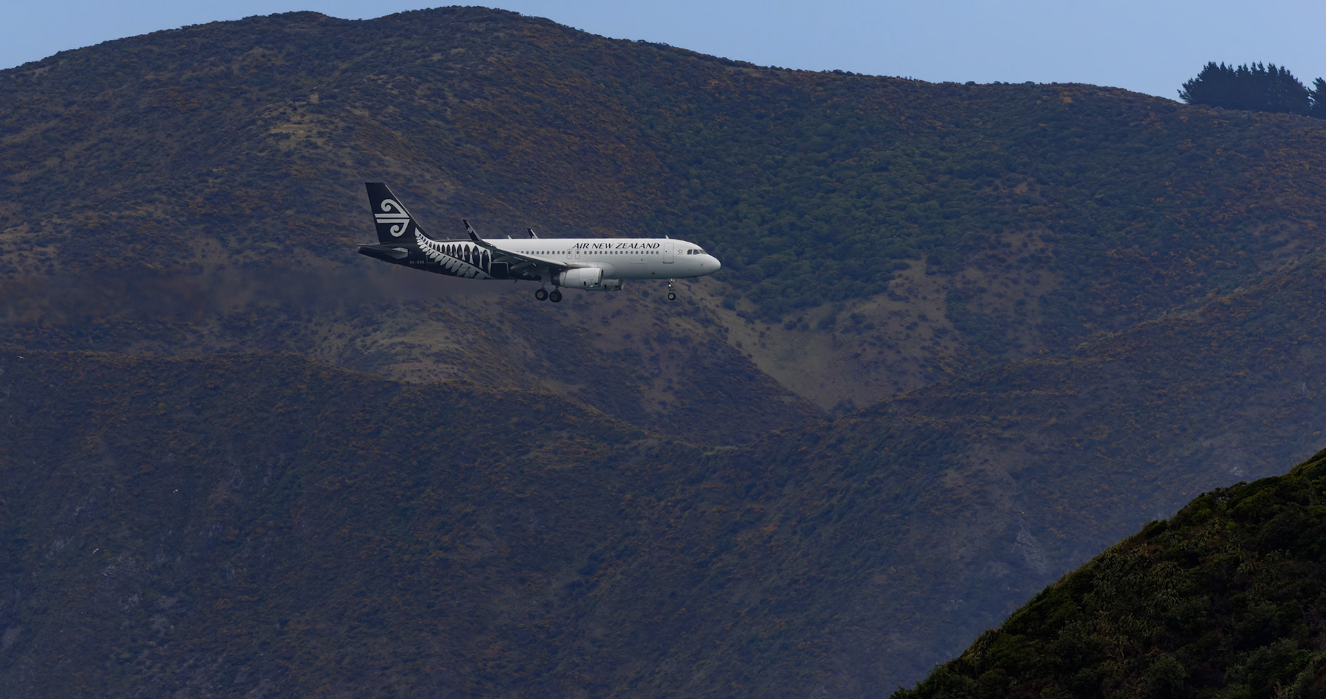 Air New Zealand Airbus A320-232 [ZK-OXK] Arriving from Queenstown at Wellington Airport from the Ferry, New Zealand
