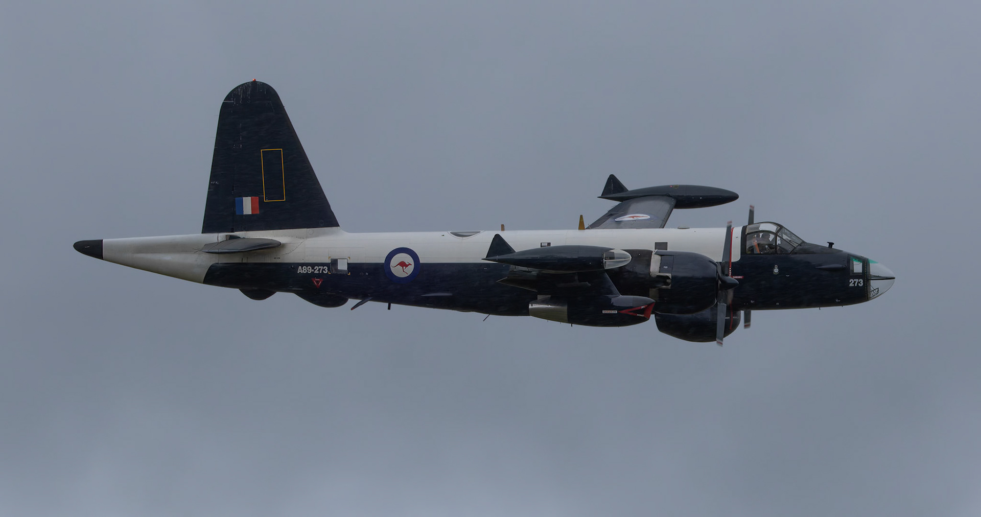 Lockheed SP-2H Neptune from the Historical Aircraft Restoration Society on display at the Shellharbour Airport, during the Airshows Downunder Shellharbour, New South Wales, Australia.