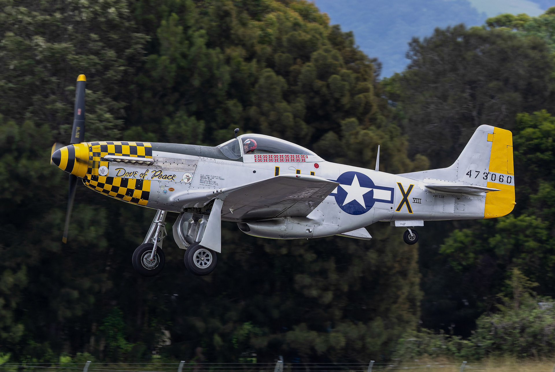 North America P51D from the Precison Fighters on display at the Shellharbour Airport, during the Airshows Downunder Shellharbour, New South Wales, Australia.