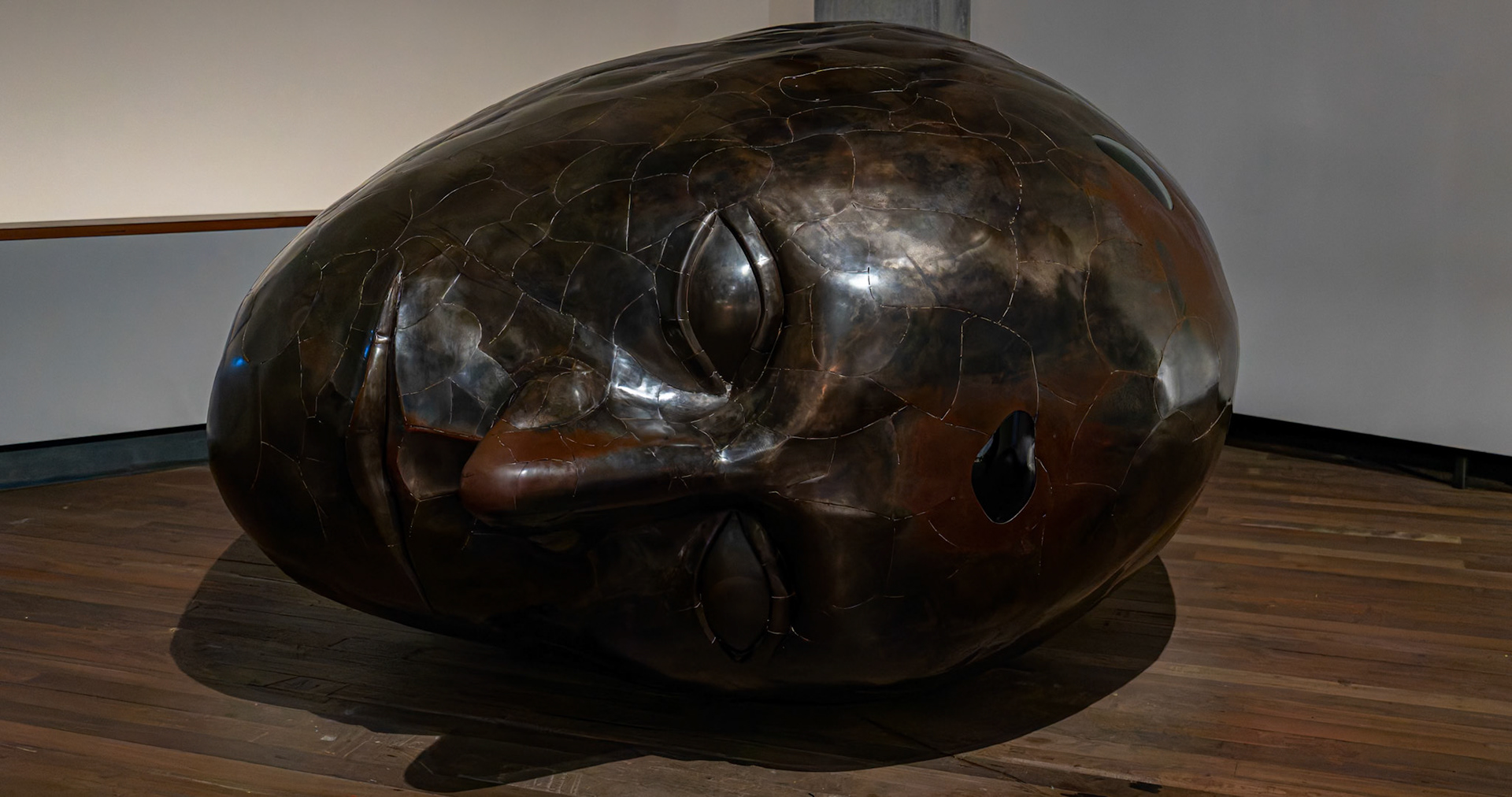 Inside Museum of Old and New Art (MONA) in Hobart, Tasmania