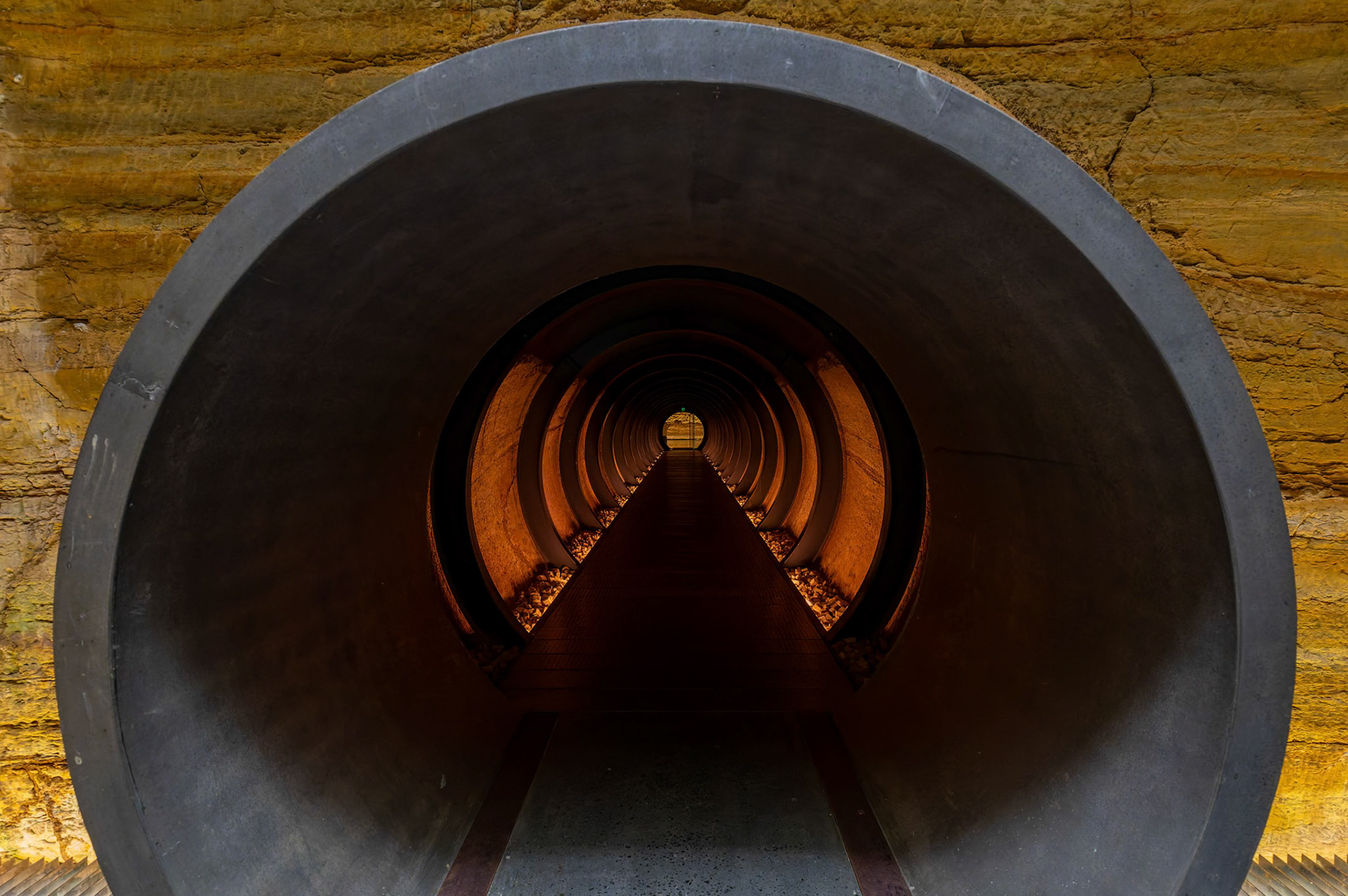 Requiem for Vermin by Christopher Townend (2019) on display inside the Museum of Old and New Art (MONA) in Hobart, Tasmania