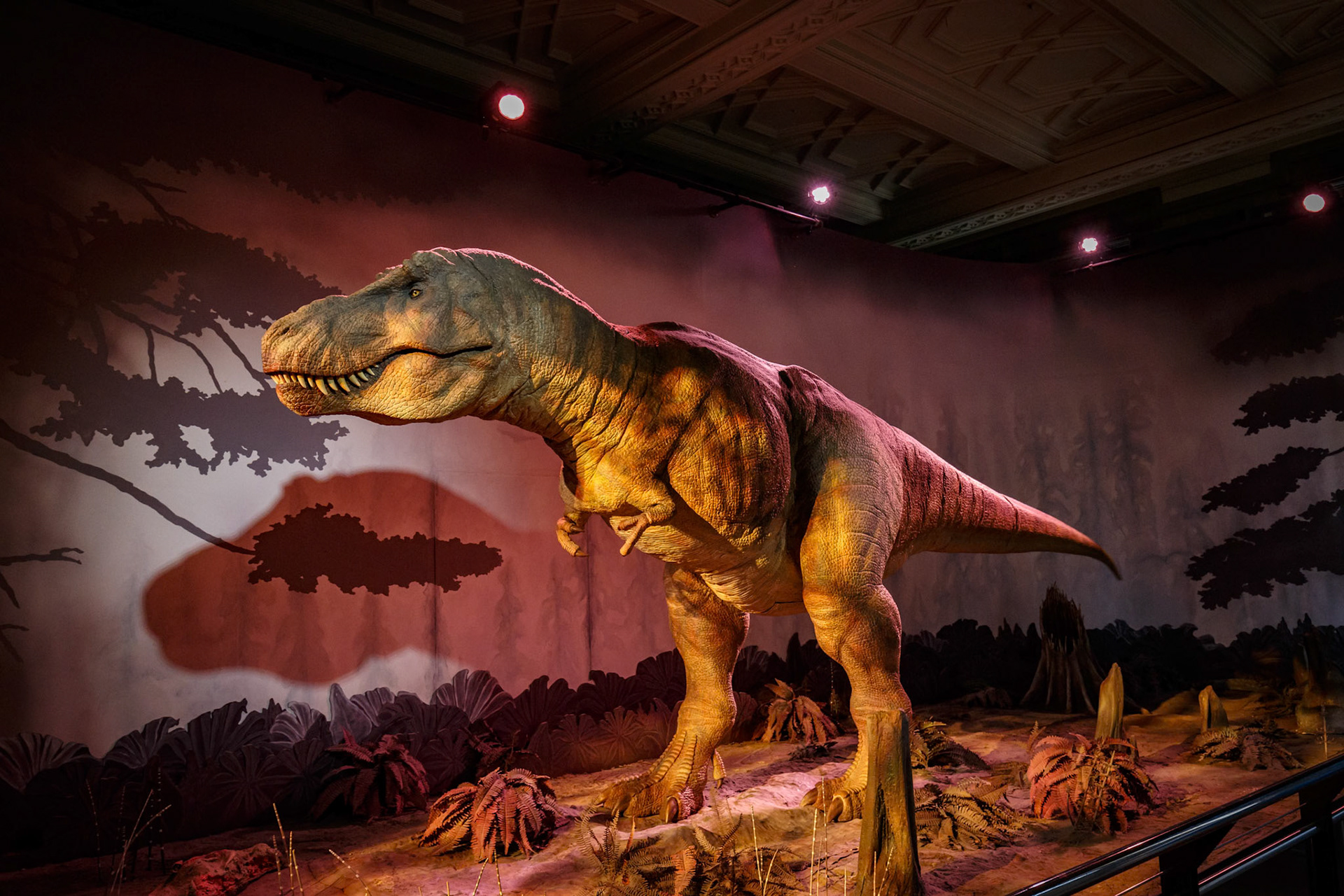 T-Rex at the Natural History Museum in London, England