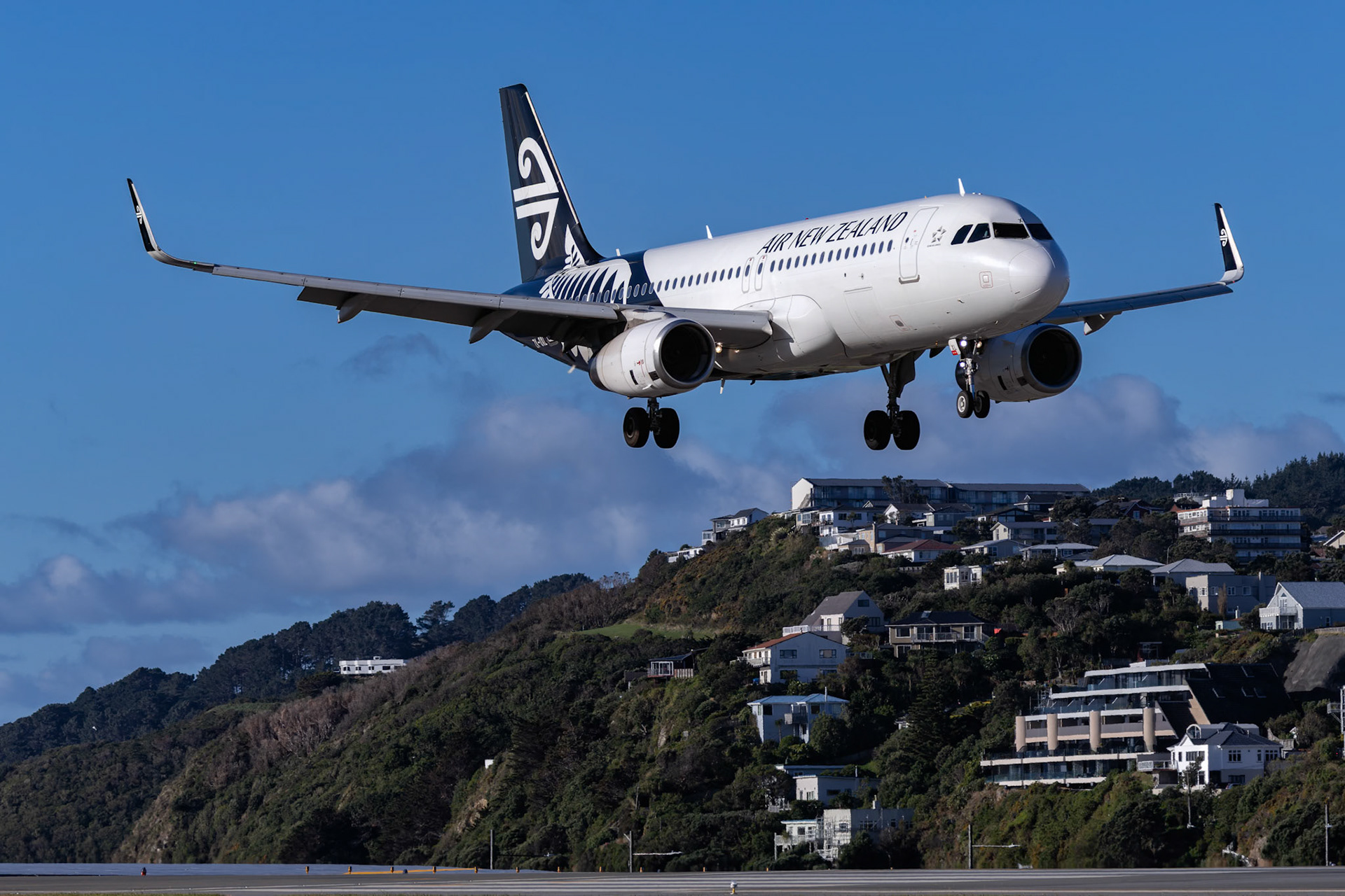 Air New Zealand Airbus A320-232 [ZK-OXL] Arriving from Dunedin at Wellington Airport from the Hill, New Zealand