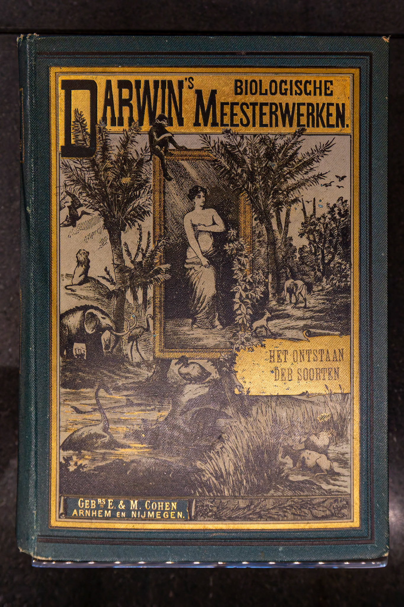 First edition of Charles Darwin's On the Origin of Species by the Mean of Natural Selection at the Natural History Museum in London, England