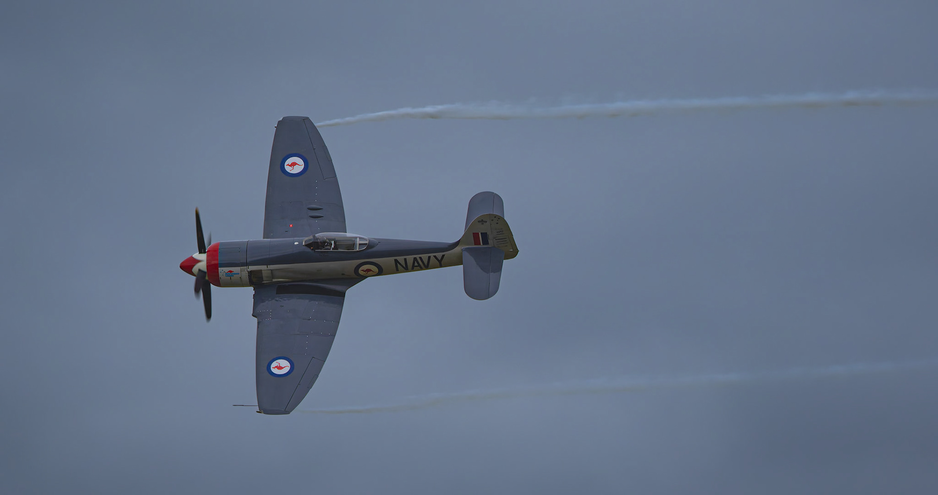 Hawker Sea Fury from Paul Bennet Airshows on display at the Shellharbour Airport, during the Airshows Downunder Shellharbour, New South Wales, Australia.