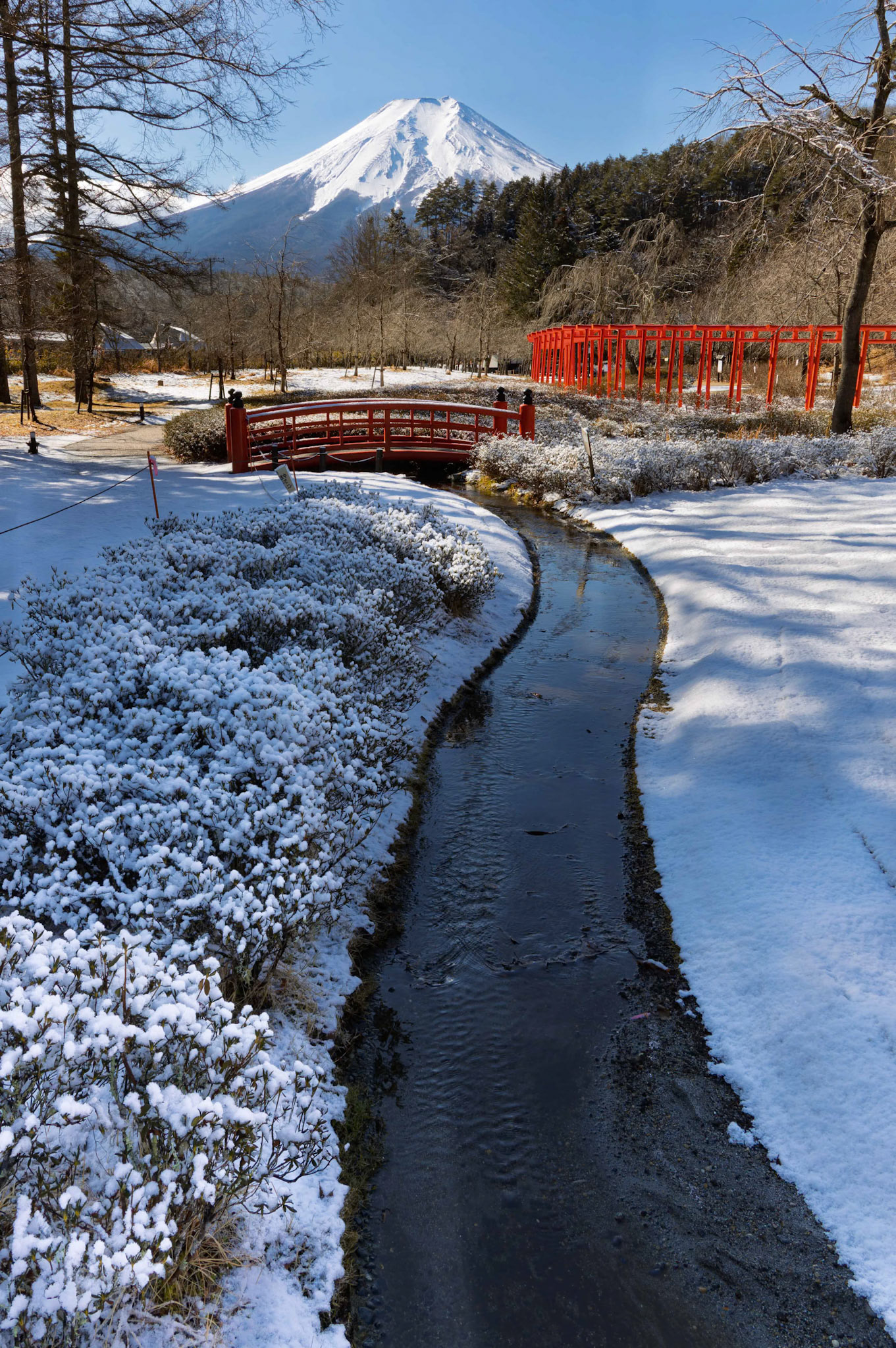 Display of Mount Fuji at Shibokusa, Oshino, Minamitsuru District, Yamanashi, Japan