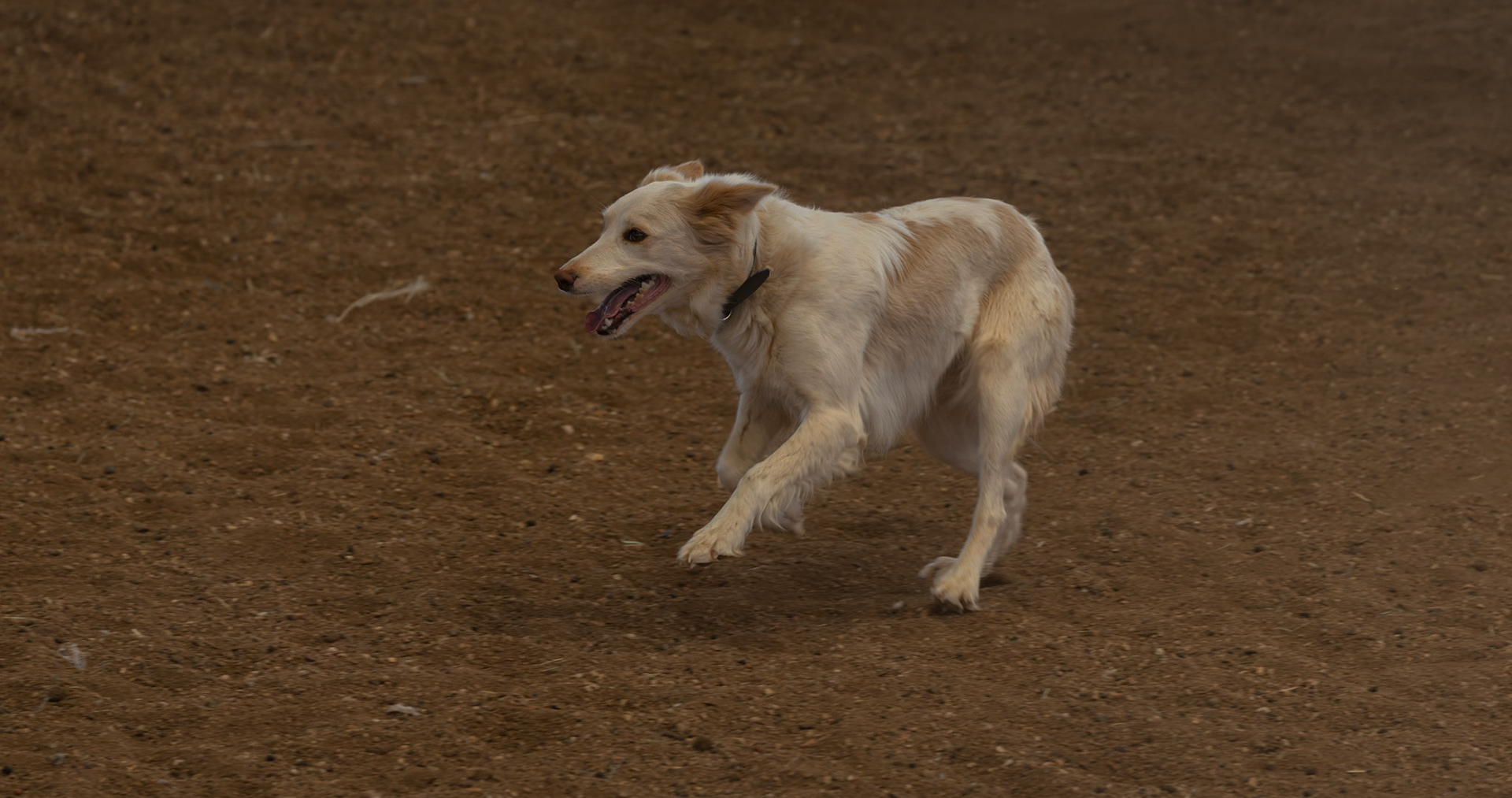 The Live Outback Stockmans Show at the Stockmans Hall of Fame in Longreach, Australia
