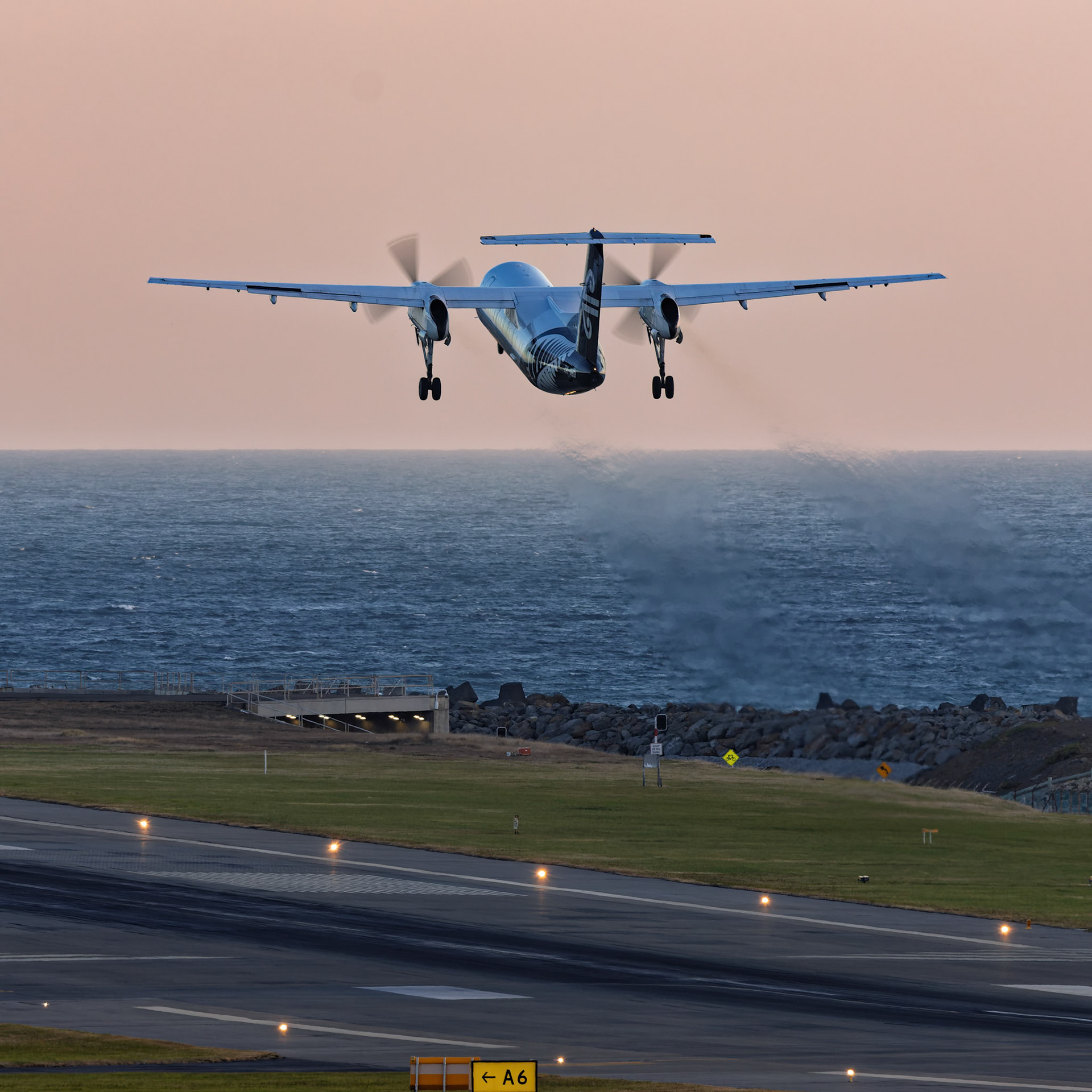 Air New Zealand De Havilland Canada Dash 8-300 [ZK-NEO] Departing to Tauranga at Wellington Airport from the Airport Lookout, New Zealand