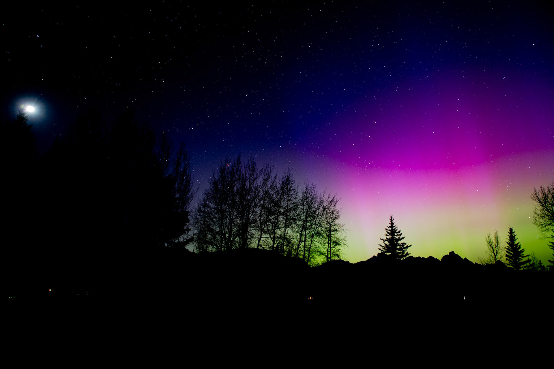 Aurora Borealis in Jackson, WY.