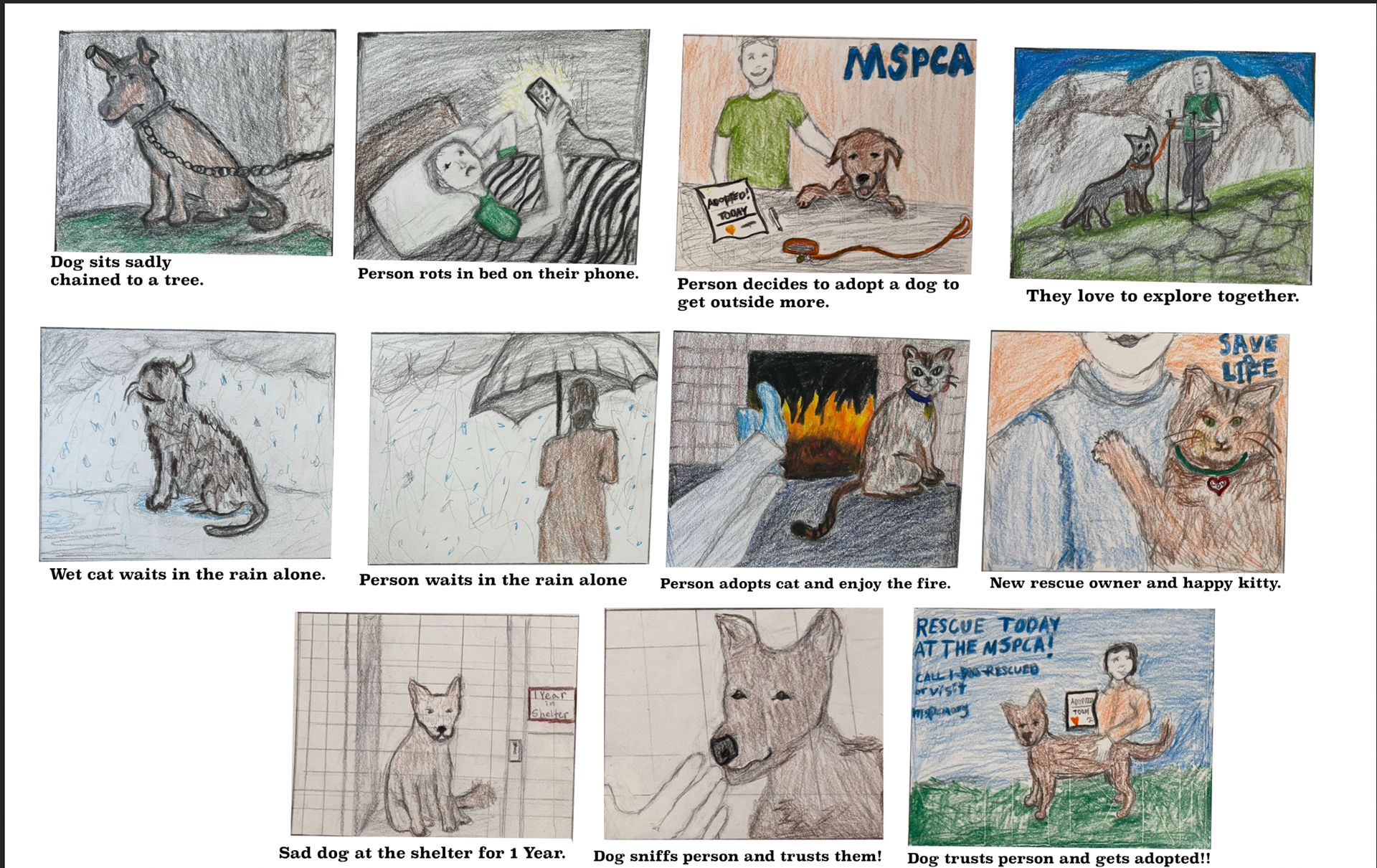 TV Ad Storyboard