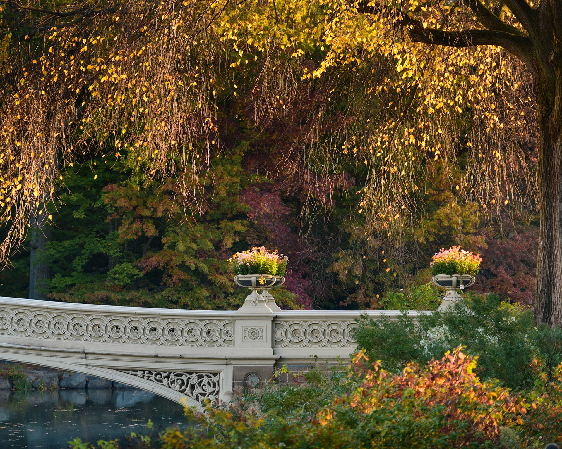 Bow Bridge in Autumn