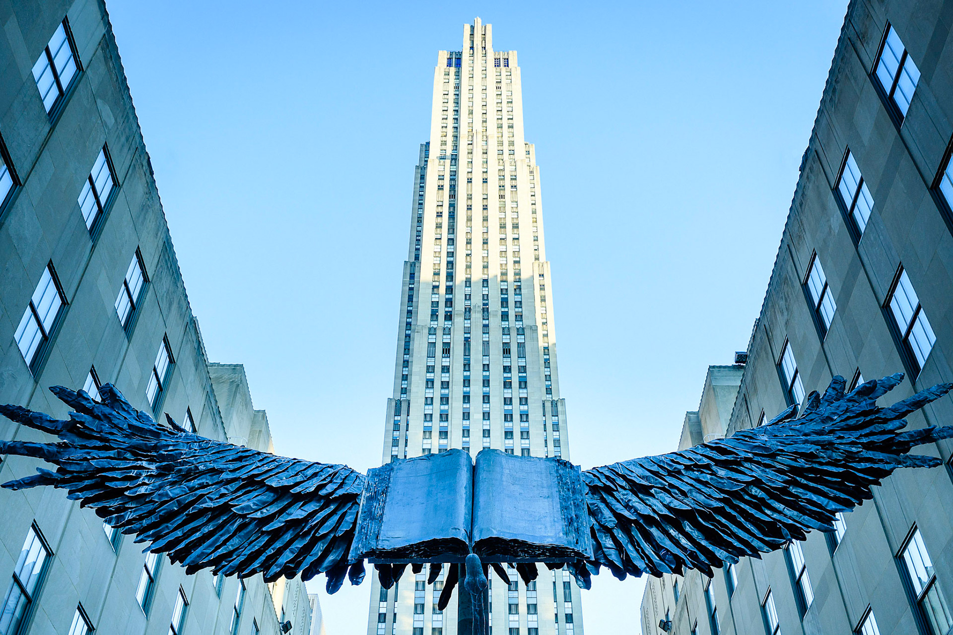 Wings of Literacy