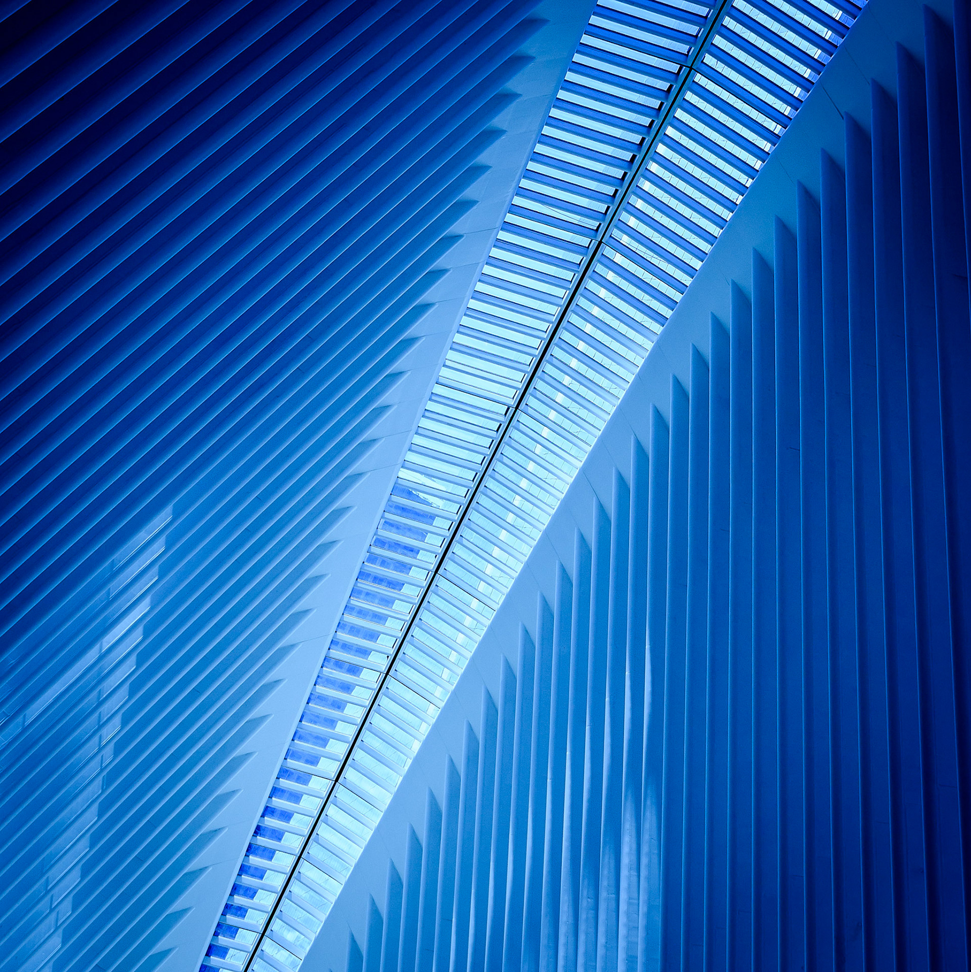 Oculus Station