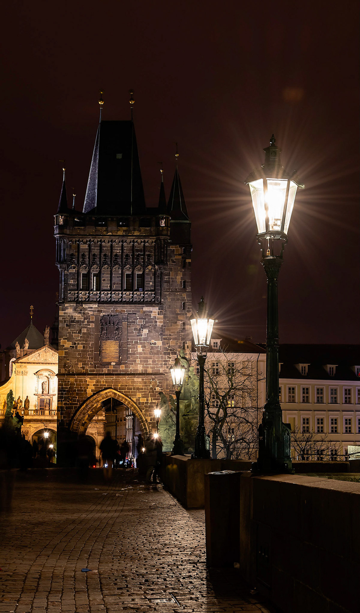 Starry Charles Bridge