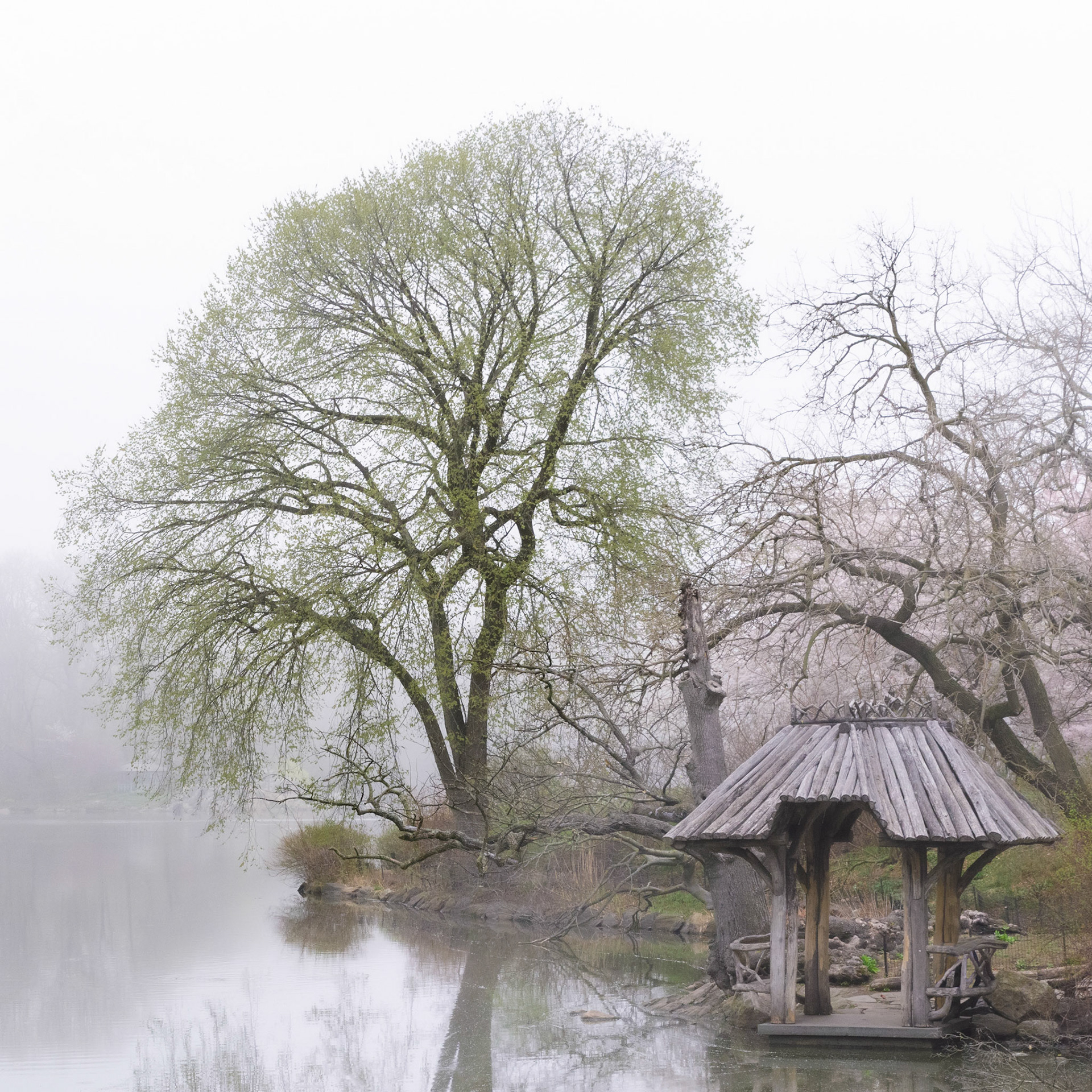 Morning Haze
