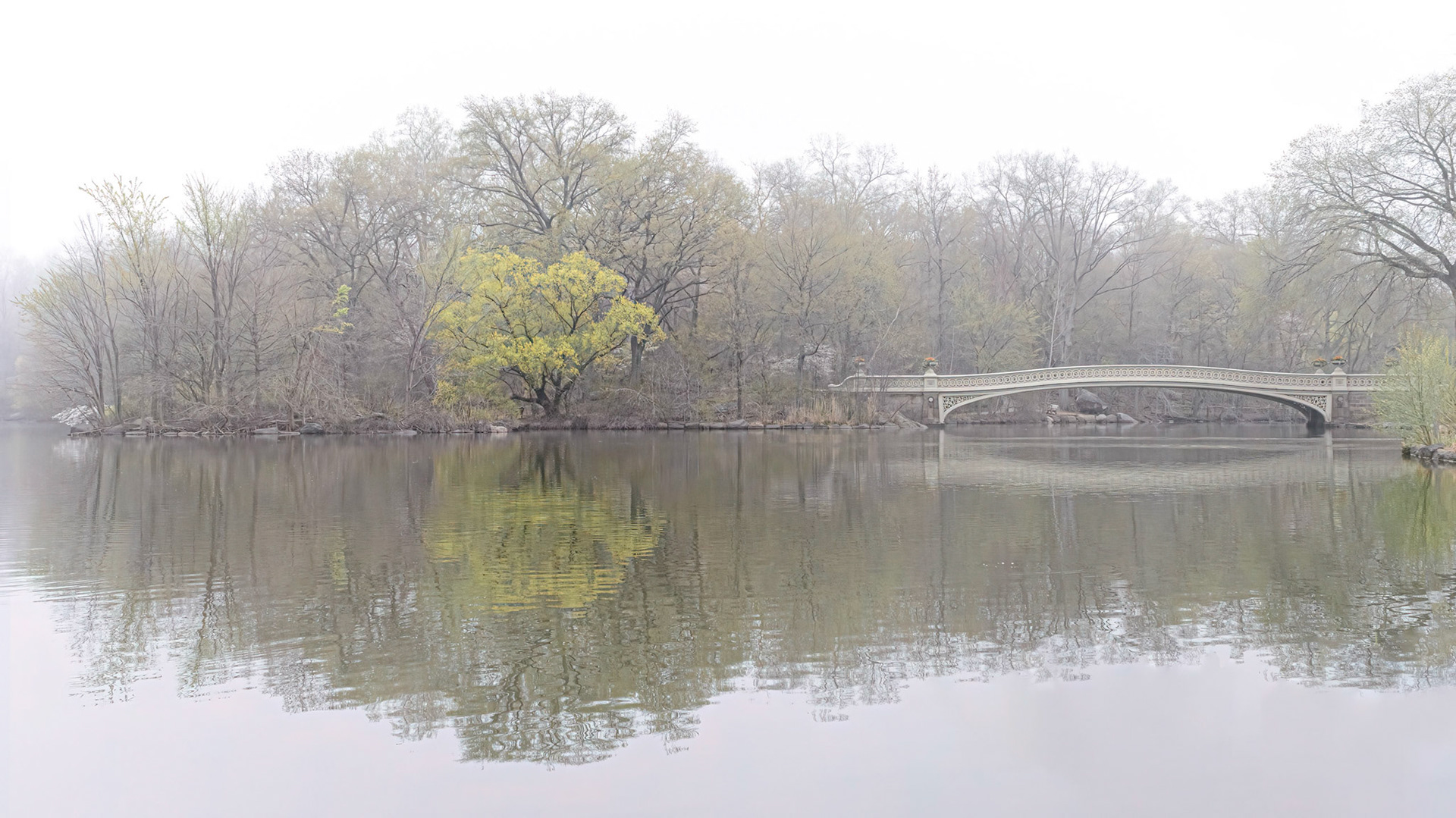 Bow Bridge in the Mist
