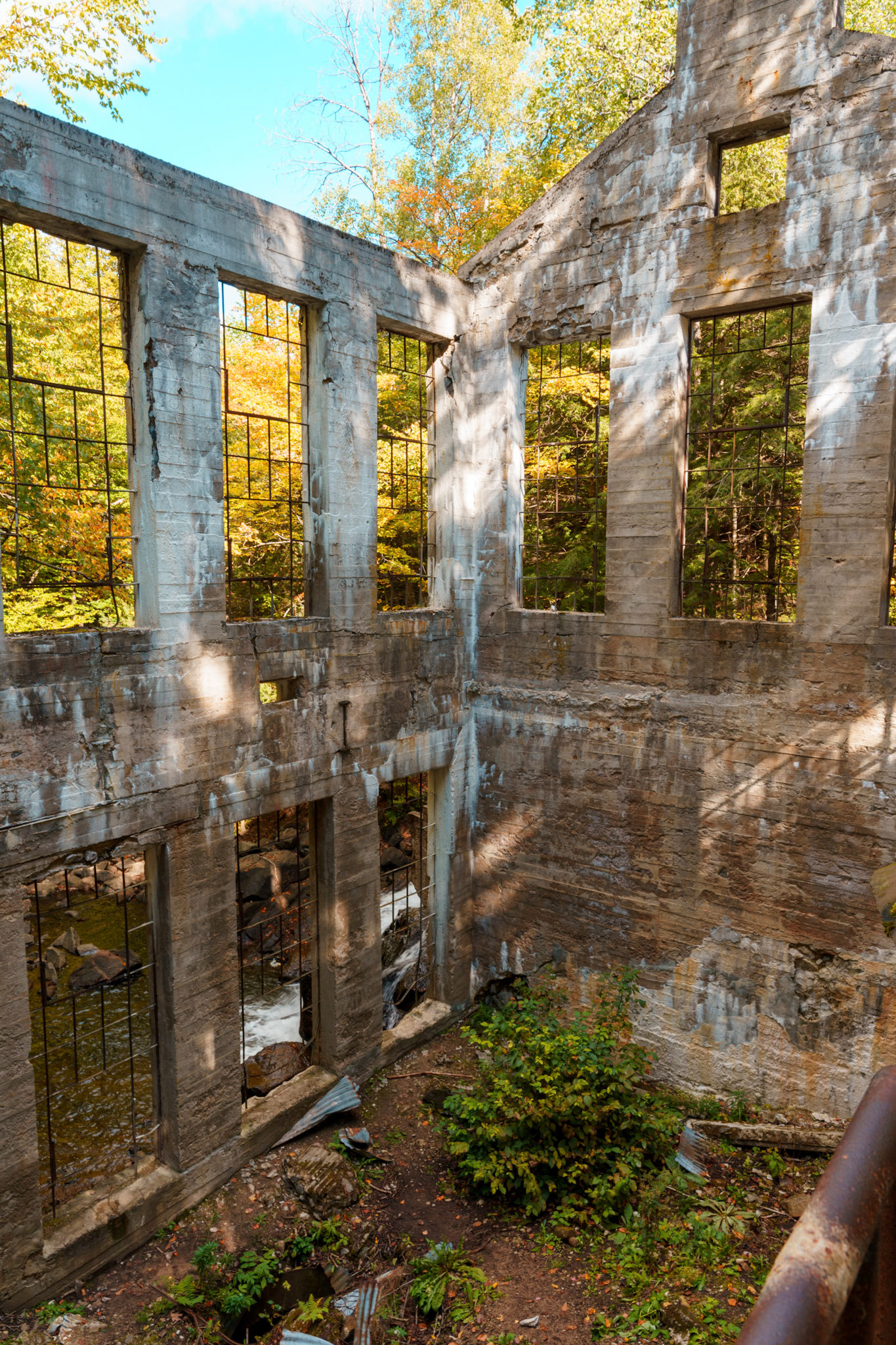Concrete ruins in the forest