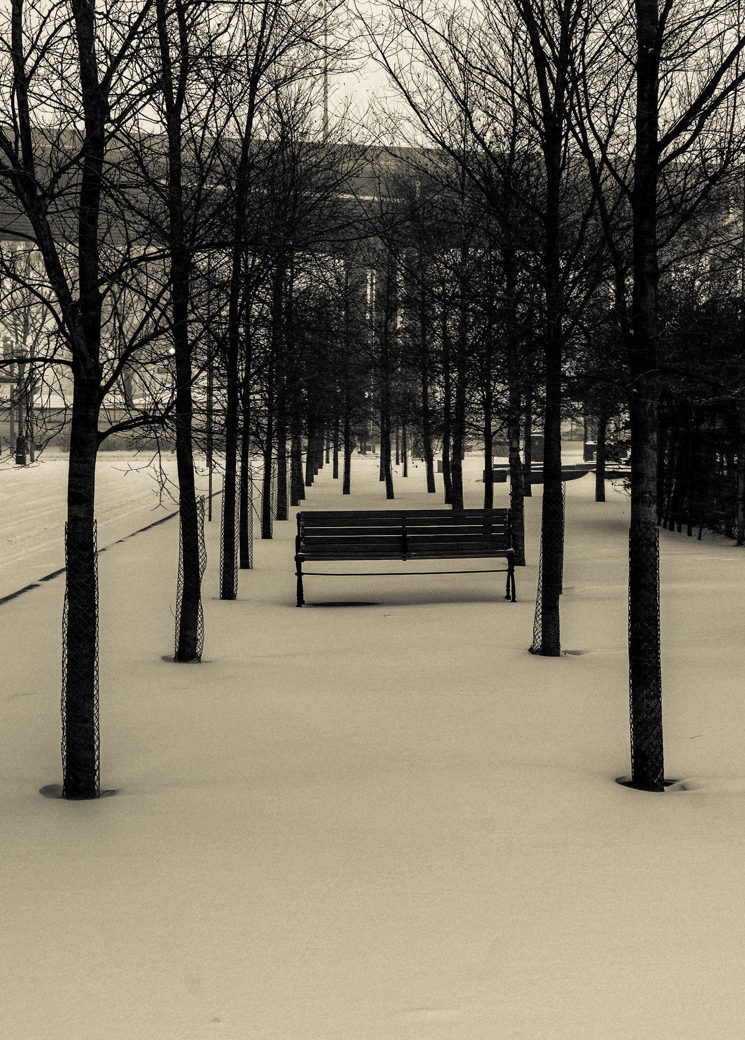 An empty bench in a snowy scene