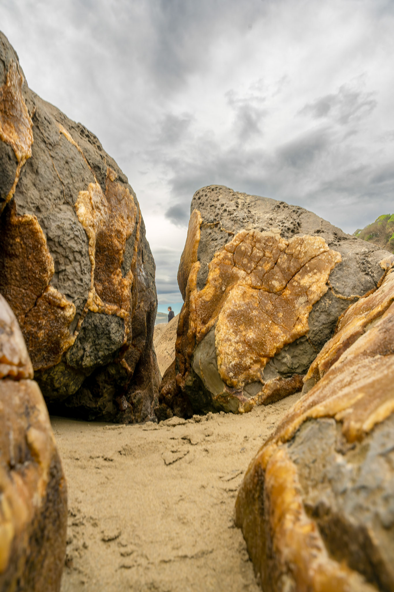 Moeraki Boulders