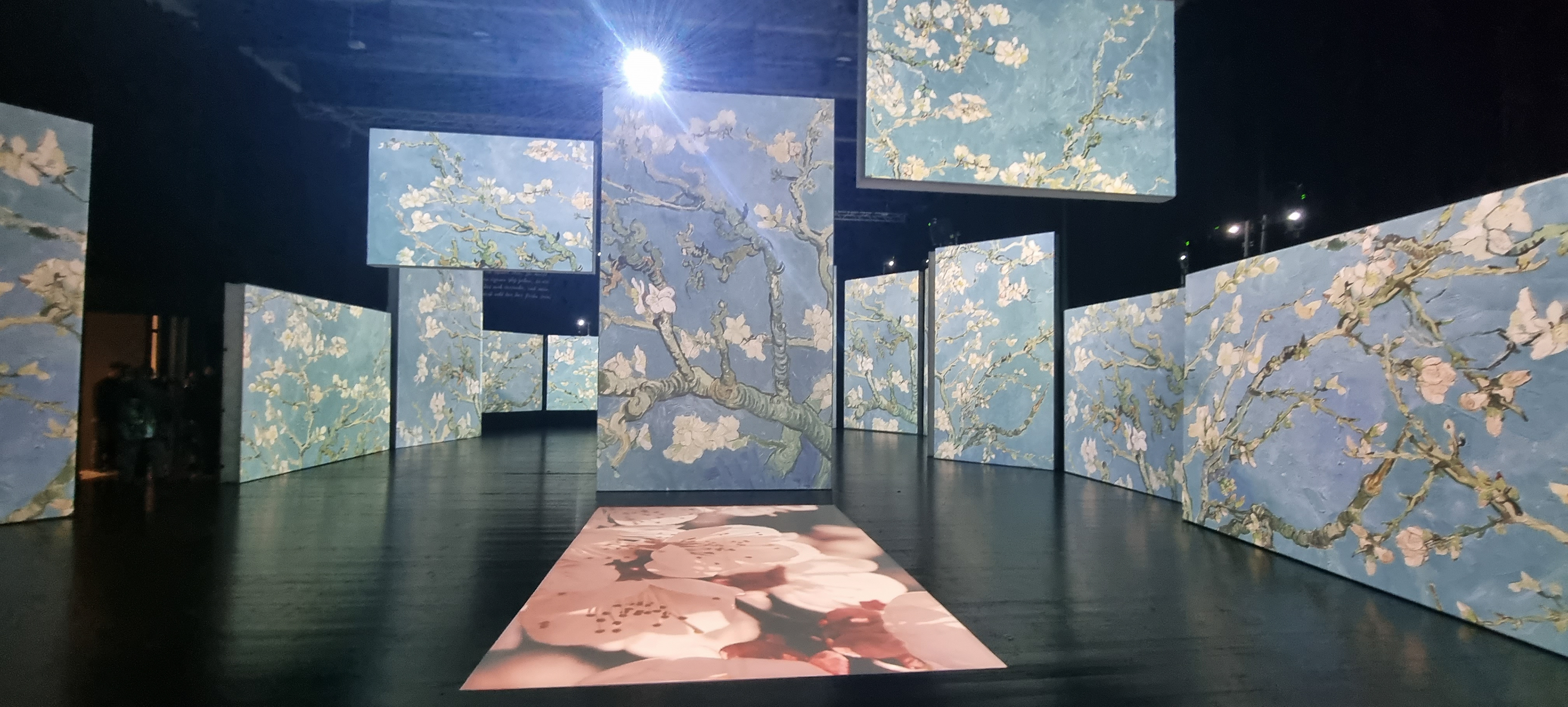 Van Gogh Alive Hamburg