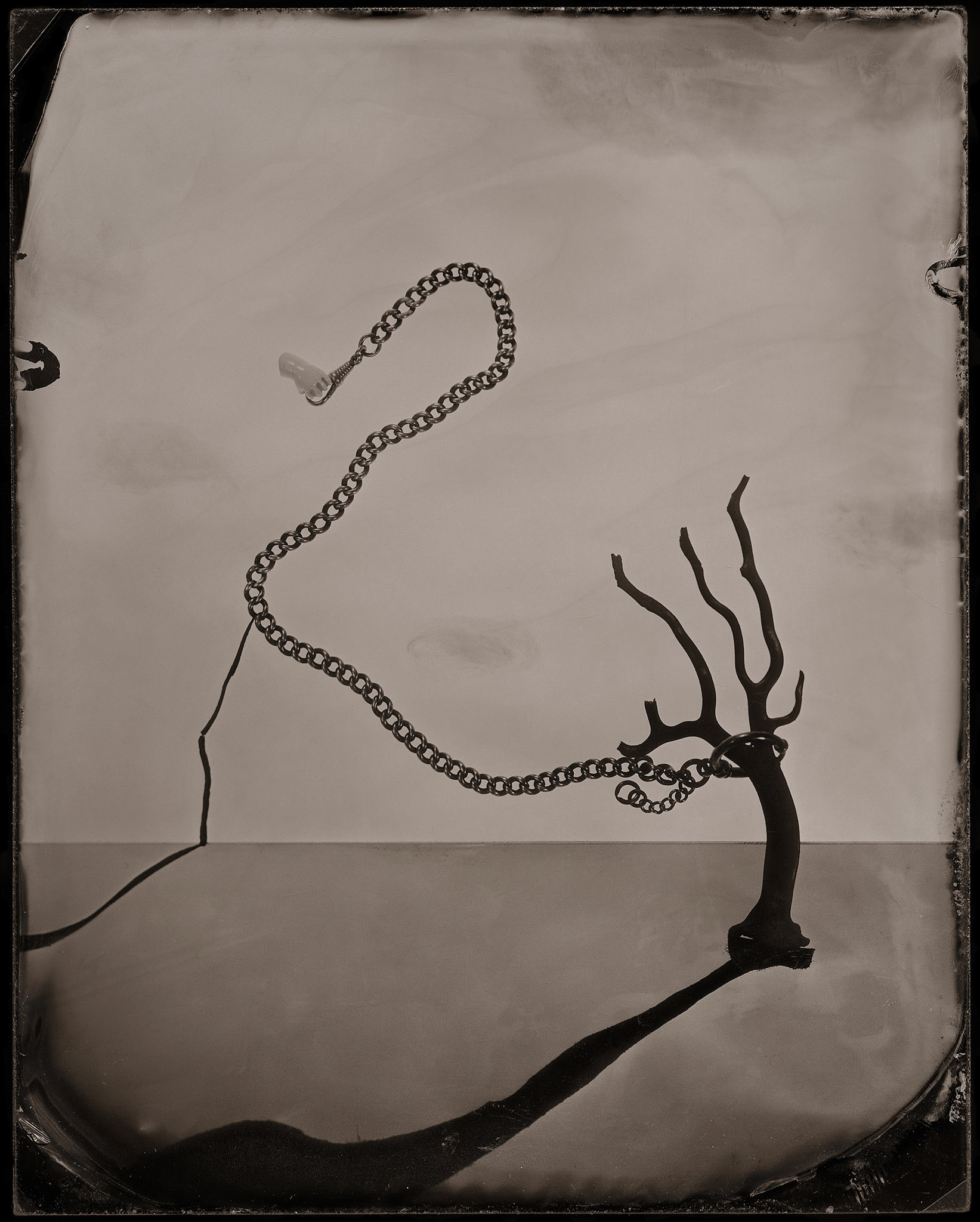 ambrotype wetplate