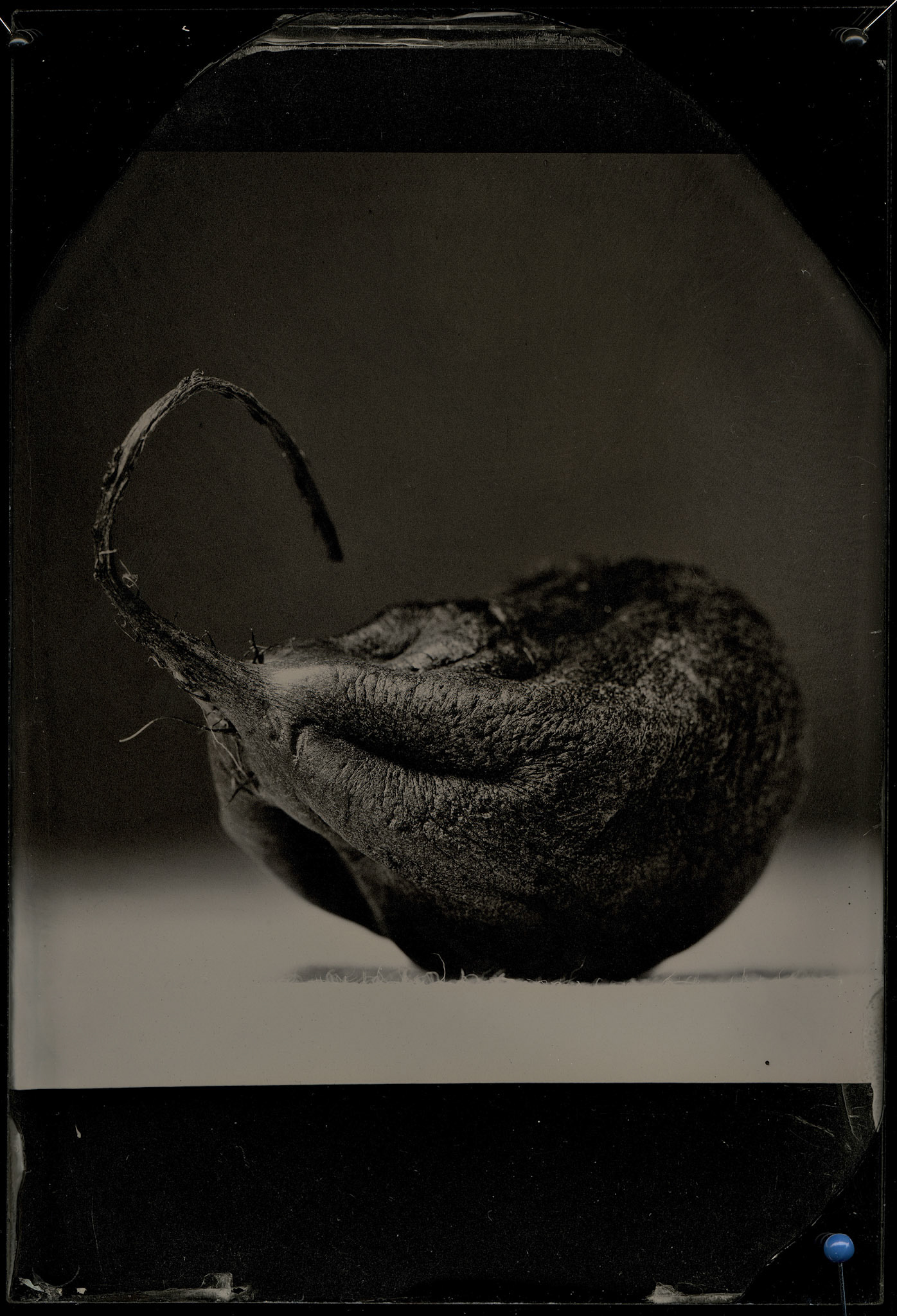 ambrotype wetplate