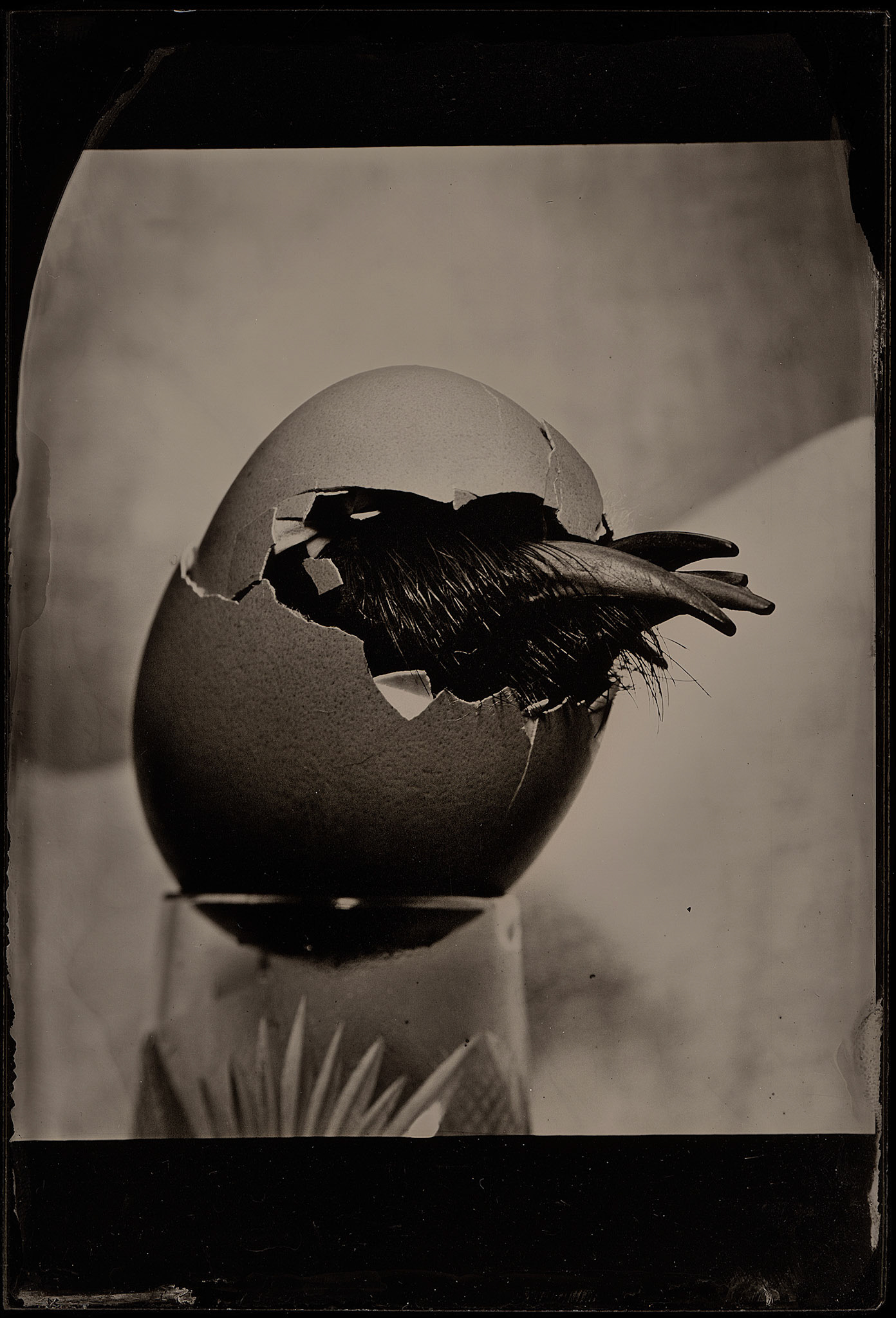 ambrotype wetplate